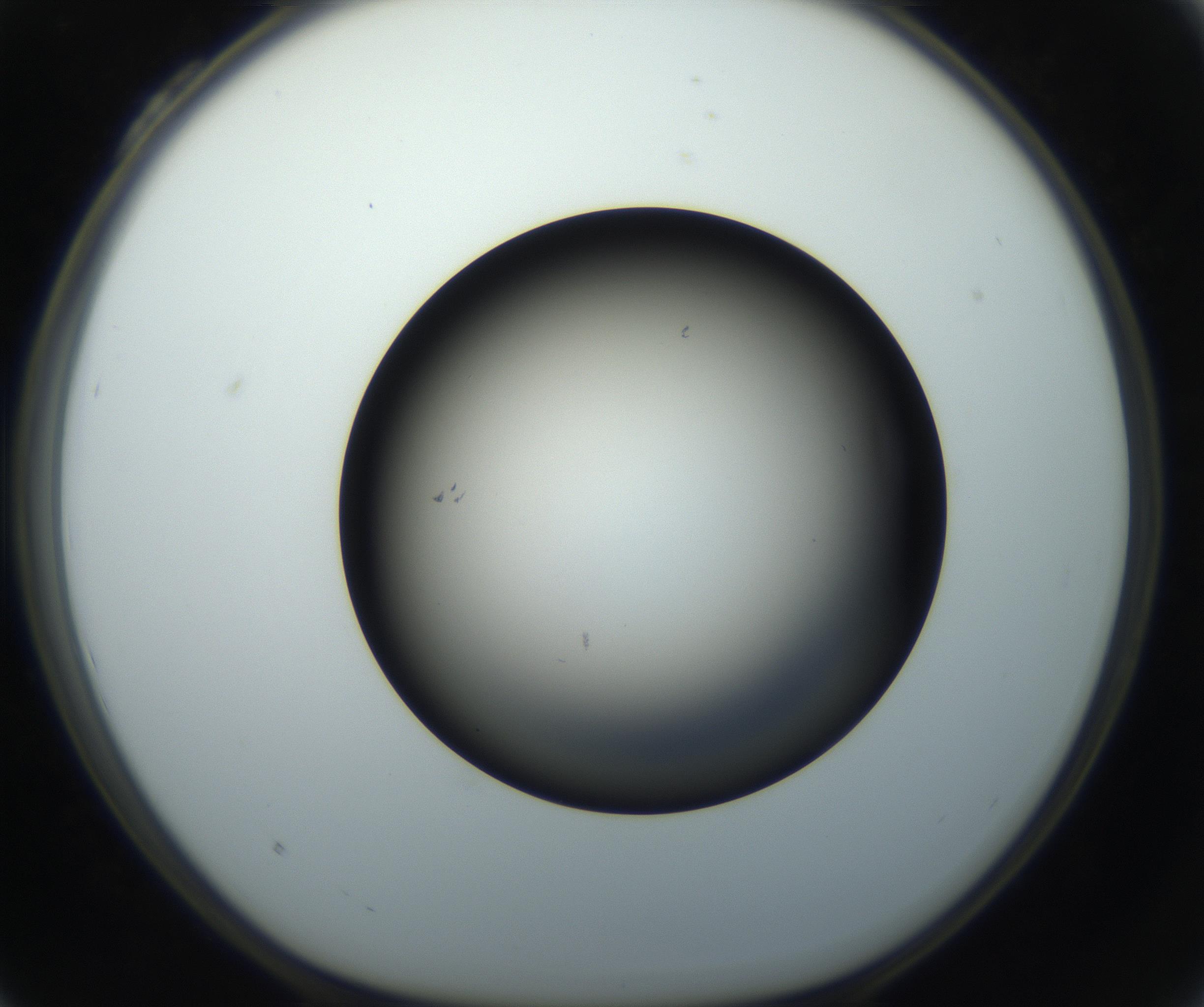 RI01_03_000_0212_Proj1_Clon1_MC_0000MC102718_004_160921_04_03_01_00_99_002_001_RAI.jpg