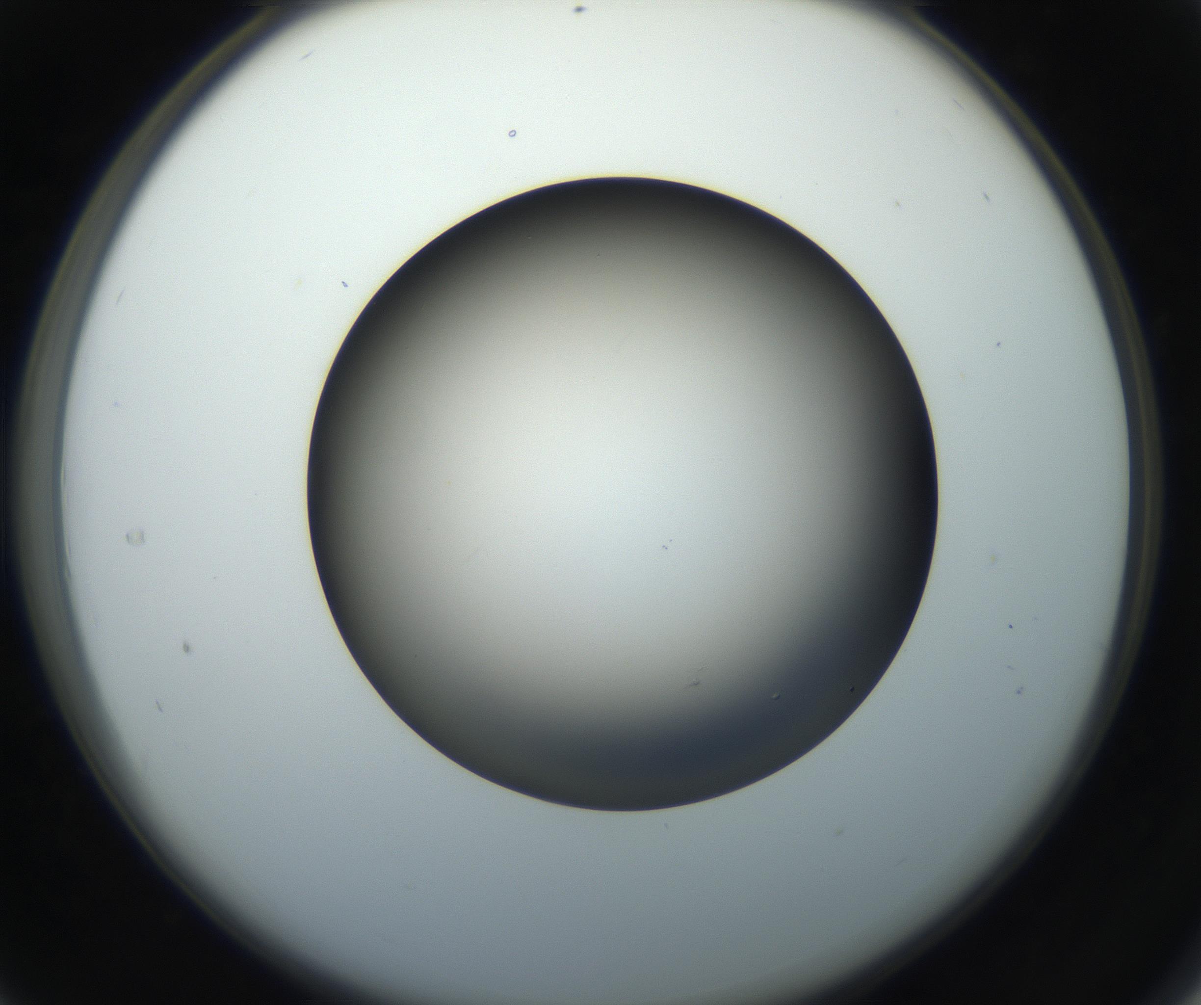 RI01_03_000_0212_Proj1_Clon1_MC_0000MC102718_004_160921_04_03_02_00_99_002_001_RAI.jpg