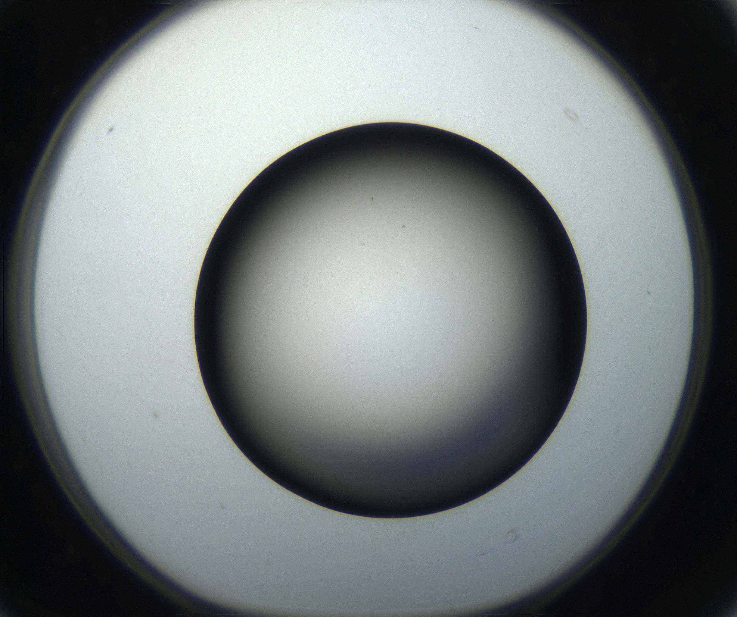 RI01_03_000_0212_Proj1_Clon1_MC_0000MC102718_004_160921_04_04_01_00_99_002_001_RAI.jpg