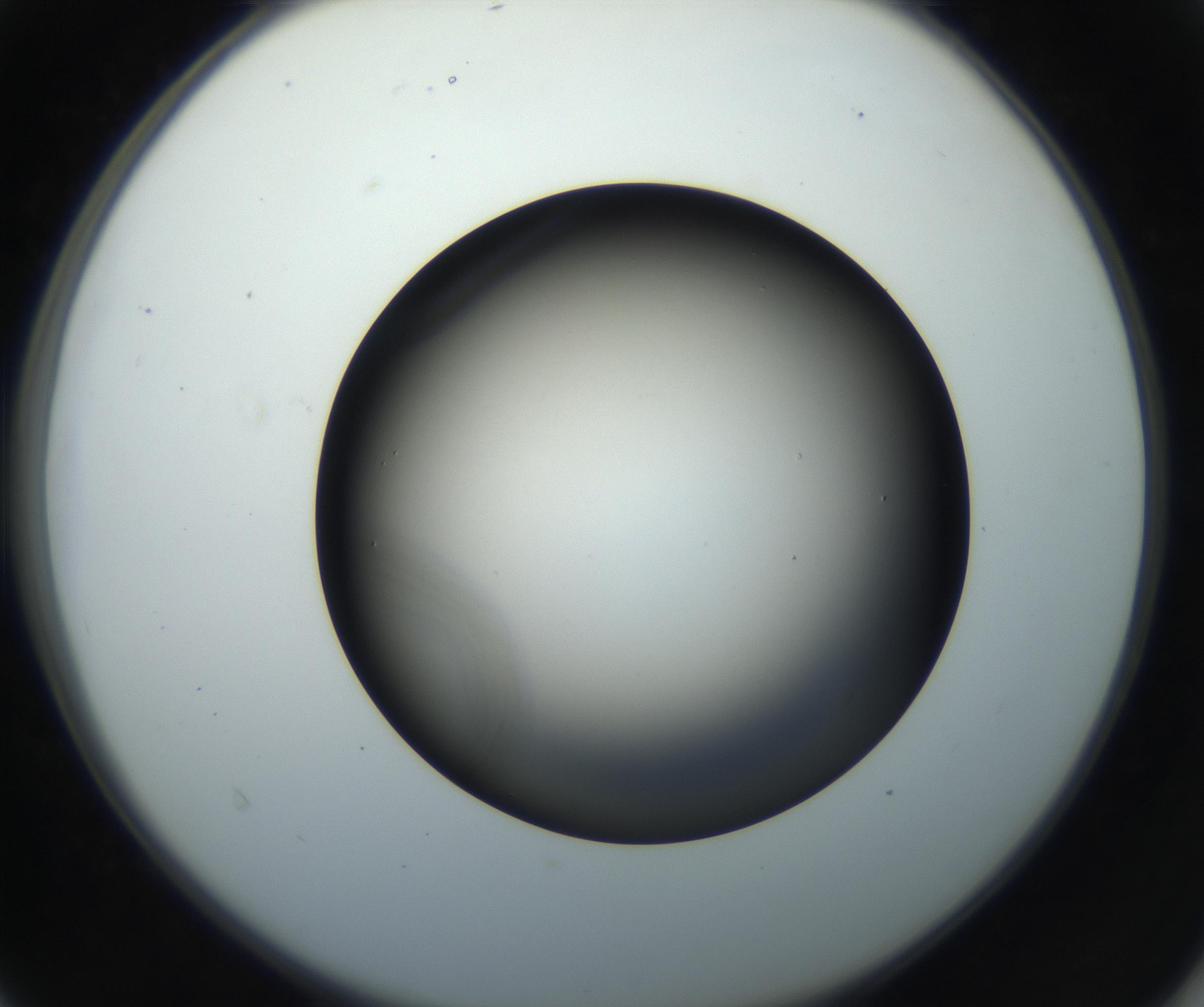 RI01_03_000_0212_Proj1_Clon1_MC_0000MC102718_004_160921_04_04_02_00_99_002_001_RAI.jpg
