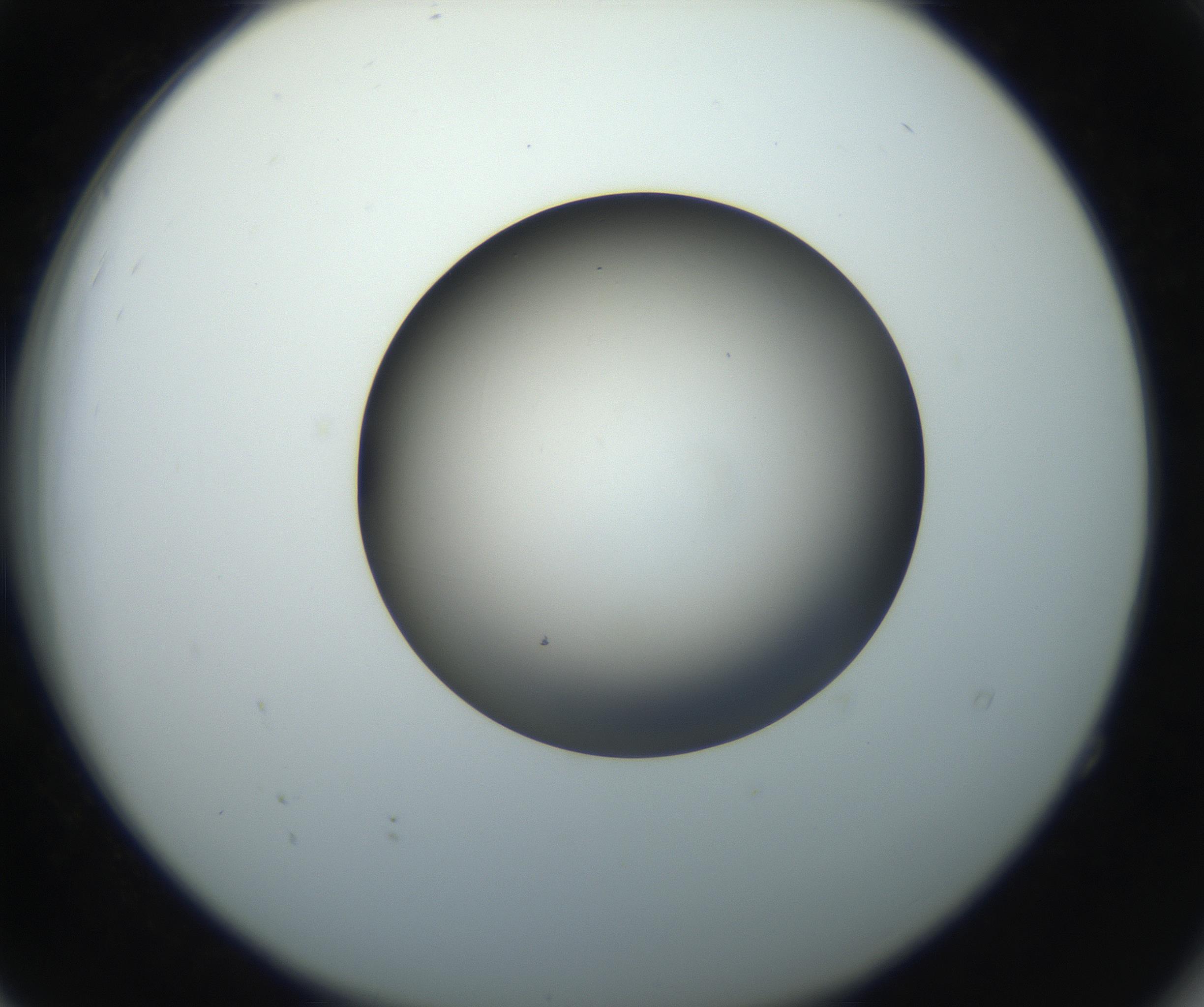 RI01_03_000_0212_Proj1_Clon1_MC_0000MC102718_004_160921_04_05_02_00_99_002_001_RAI.jpg