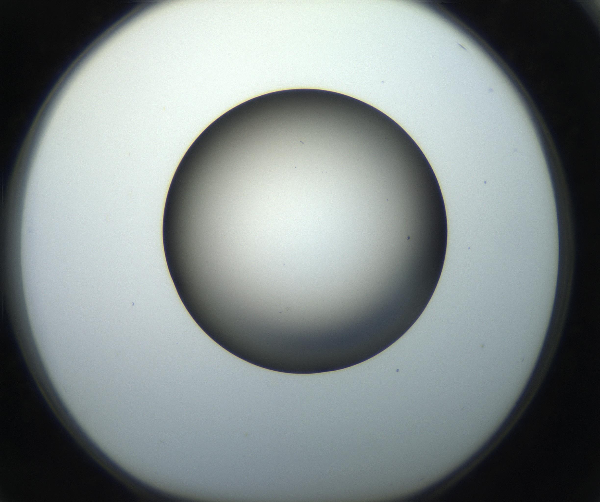 RI01_03_000_0212_Proj1_Clon1_MC_0000MC102718_004_160921_04_06_01_00_99_002_001_RAI.jpg