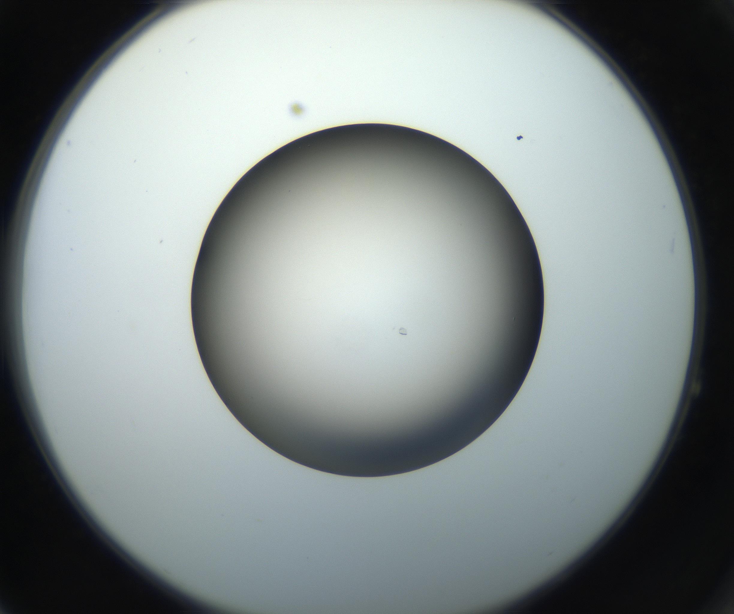 RI01_03_000_0212_Proj1_Clon1_MC_0000MC102718_004_160921_04_06_02_00_99_002_001_RAI.jpg