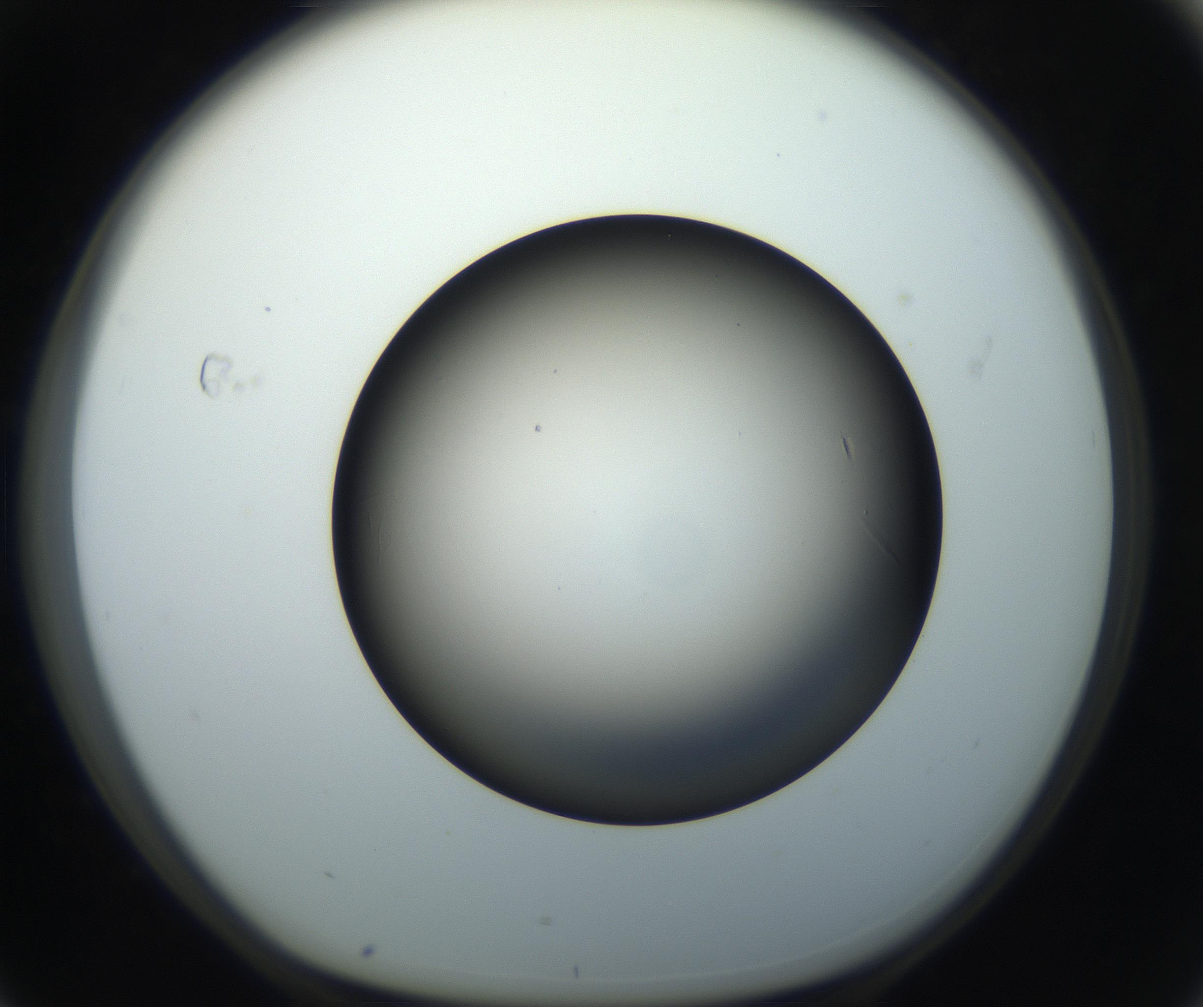 RI01_03_000_0212_Proj1_Clon1_MC_0000MC102718_004_160921_04_07_01_00_99_002_001_RAI.jpg
