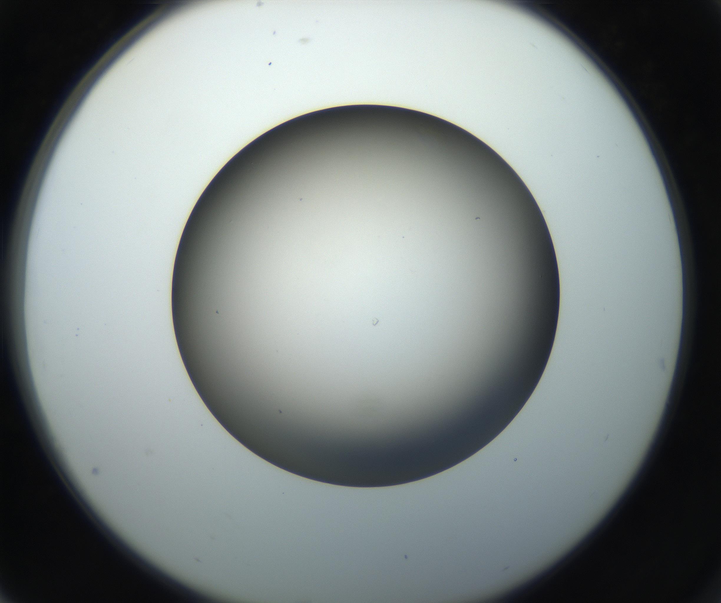 RI01_03_000_0212_Proj1_Clon1_MC_0000MC102718_004_160921_04_07_02_00_99_002_001_RAI.jpg