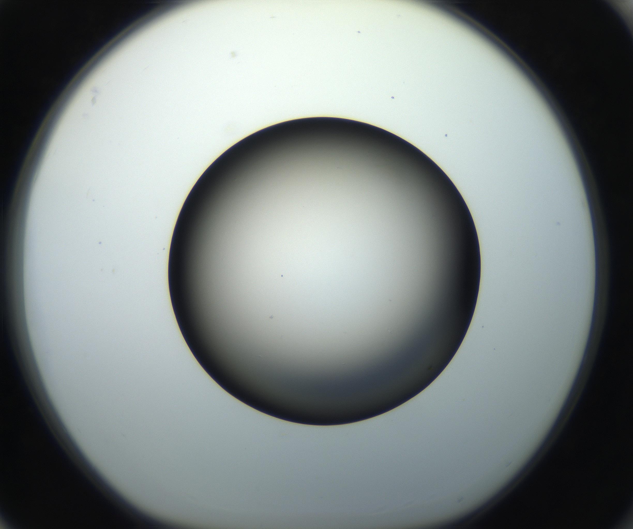RI01_03_000_0212_Proj1_Clon1_MC_0000MC102718_004_160921_04_08_01_00_99_002_001_RAI.jpg