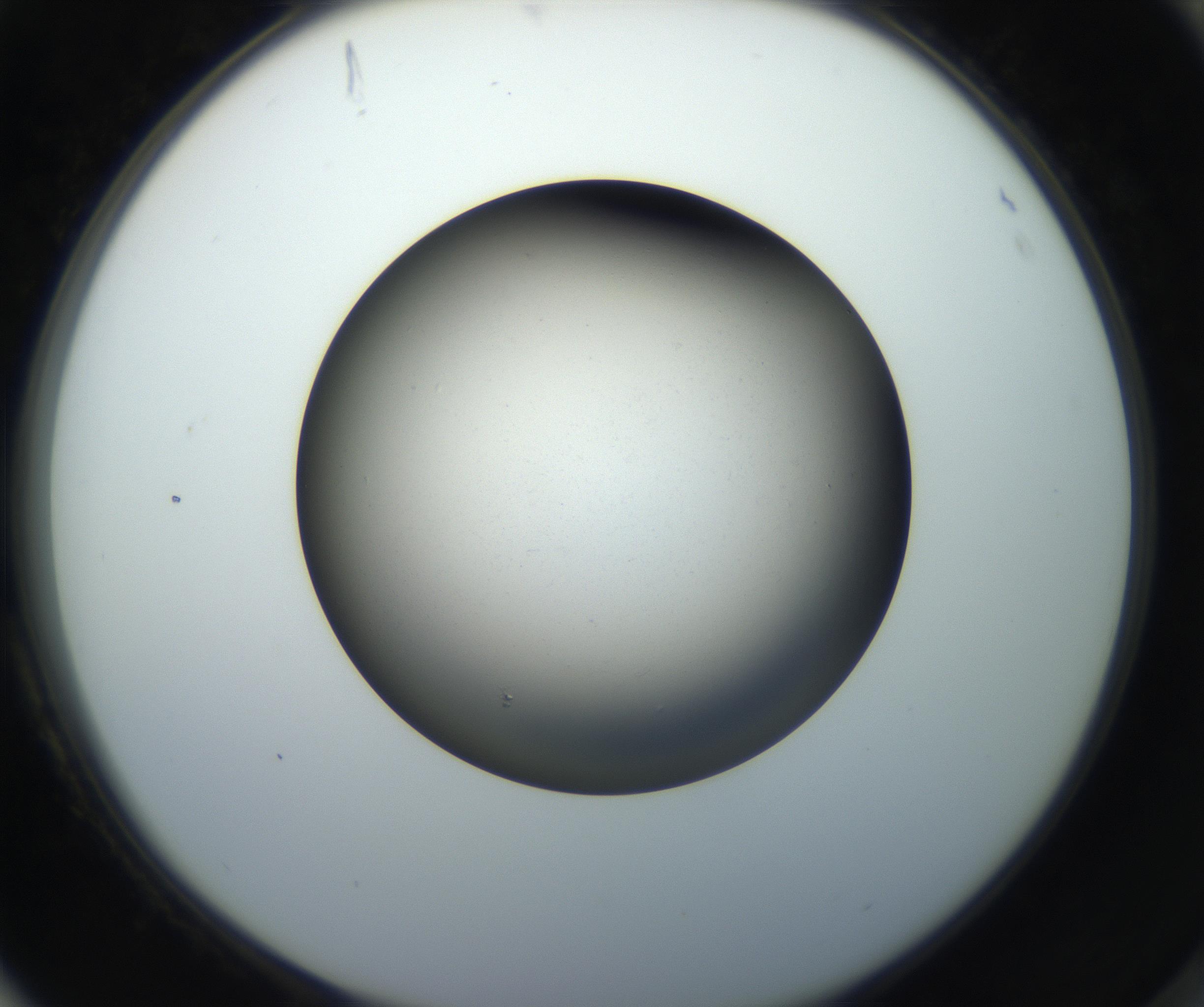 RI01_03_000_0212_Proj1_Clon1_MC_0000MC102718_004_160921_04_08_02_00_99_002_001_RAI.jpg