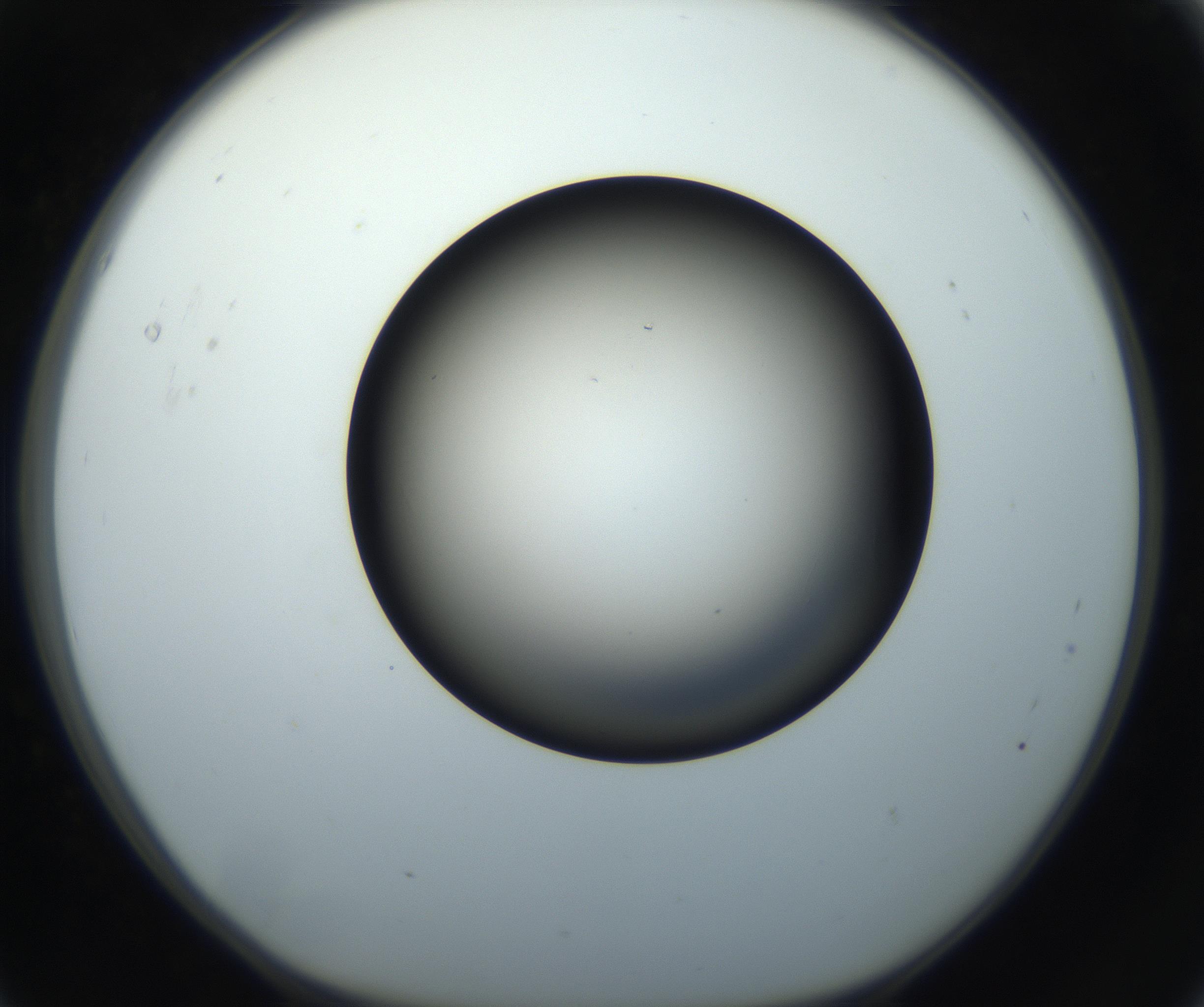 RI01_03_000_0212_Proj1_Clon1_MC_0000MC102718_004_160921_05_01_01_00_99_002_001_RAI.jpg