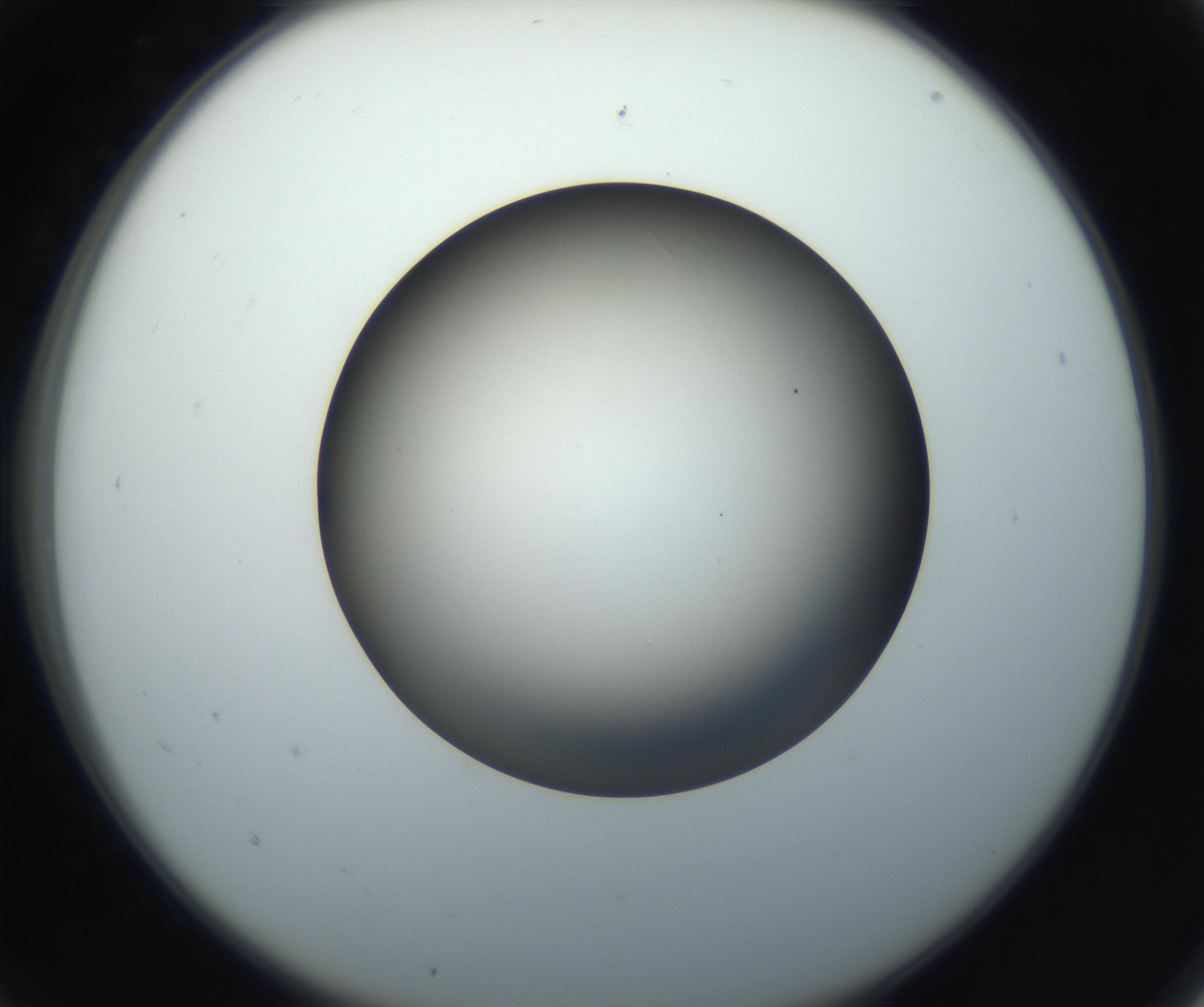 RI01_03_000_0212_Proj1_Clon1_MC_0000MC102718_004_160921_05_01_02_00_99_002_001_RAI.jpg