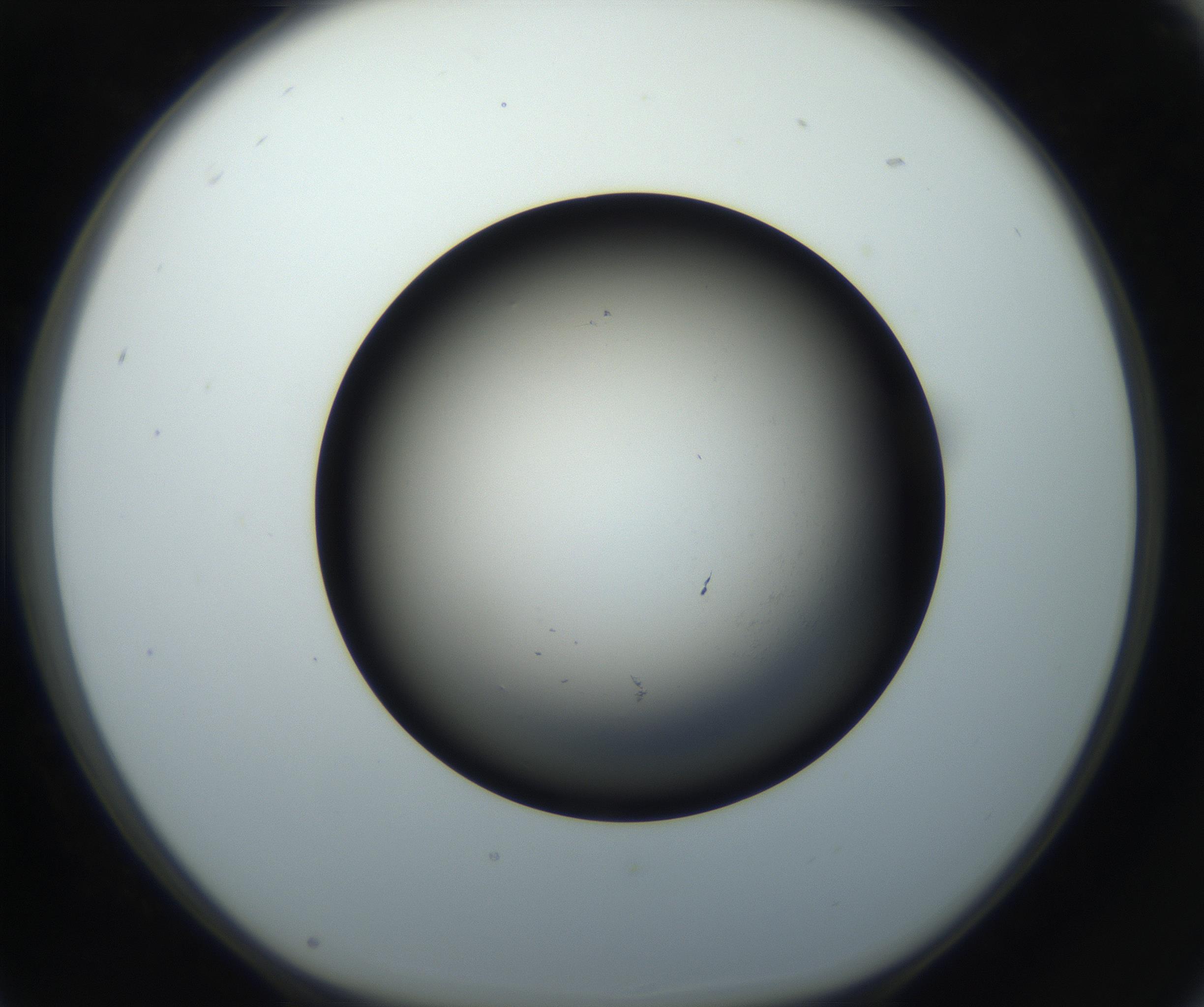 RI01_03_000_0212_Proj1_Clon1_MC_0000MC102718_004_160921_05_02_01_00_99_002_001_RAI.jpg
