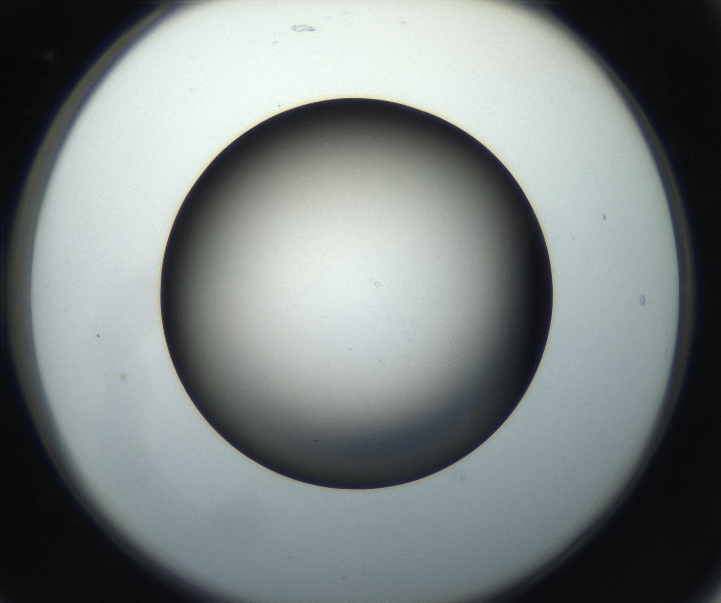 RI01_03_000_0212_Proj1_Clon1_MC_0000MC102718_004_160921_05_02_02_00_99_002_001_RAI.jpg