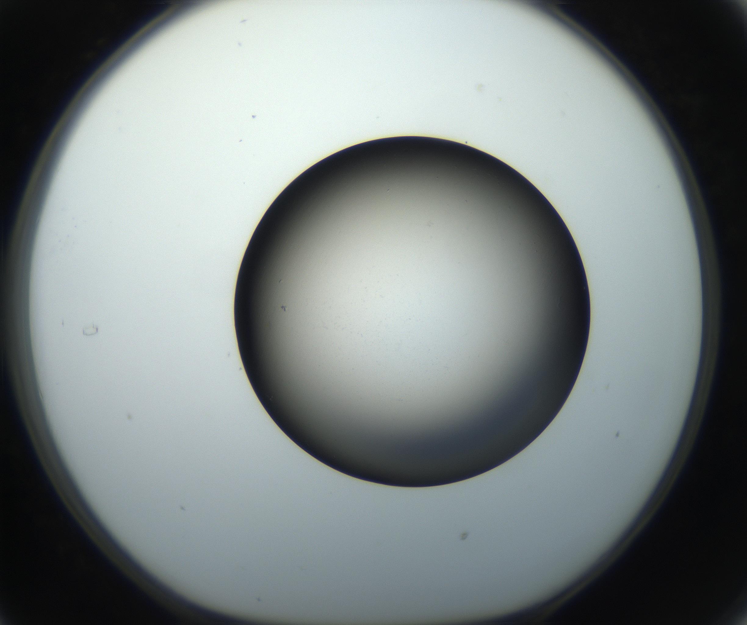 RI01_03_000_0212_Proj1_Clon1_MC_0000MC102718_004_160921_05_03_01_00_99_002_001_RAI.jpg