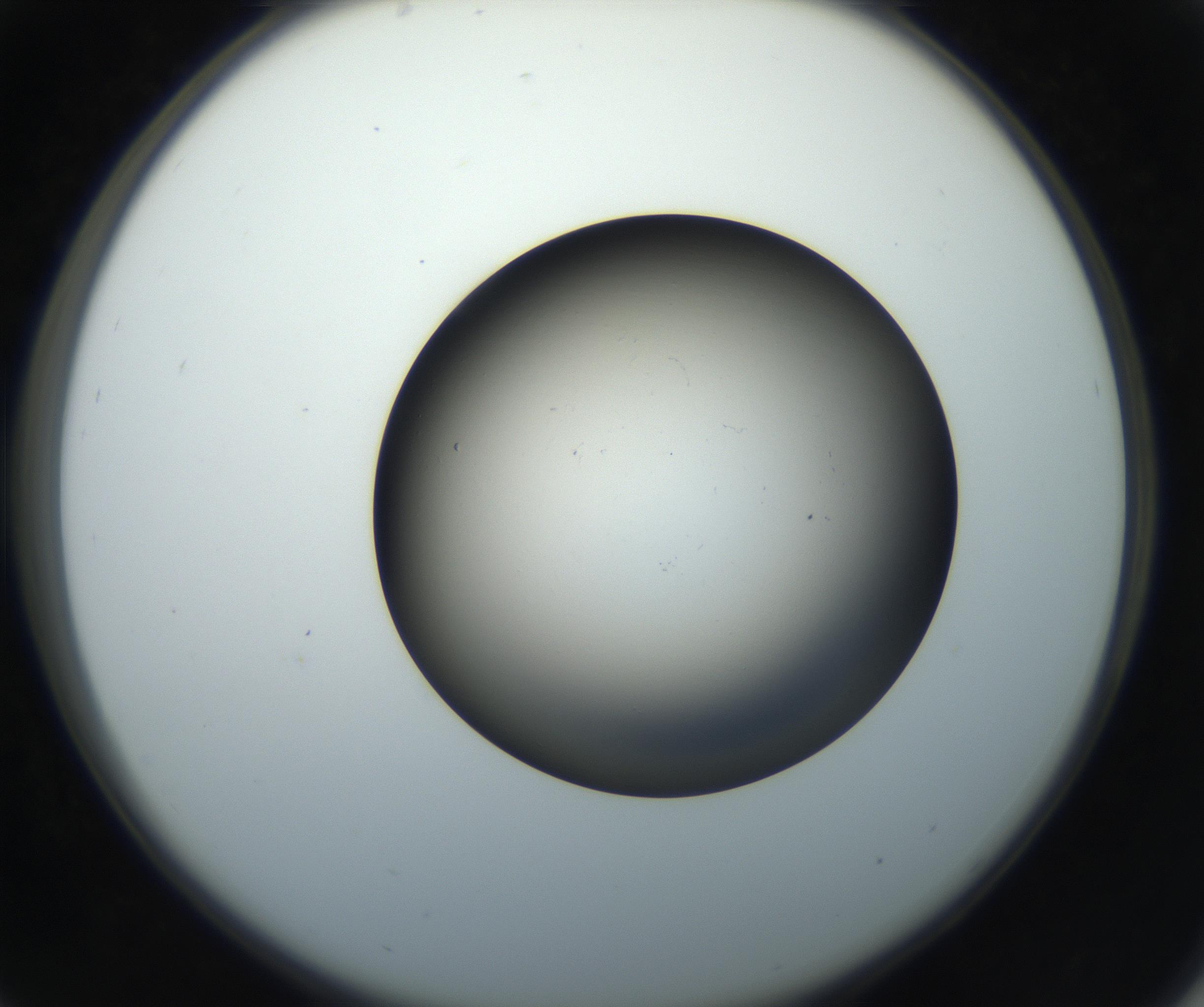 RI01_03_000_0212_Proj1_Clon1_MC_0000MC102718_004_160921_05_03_02_00_99_002_001_RAI.jpg