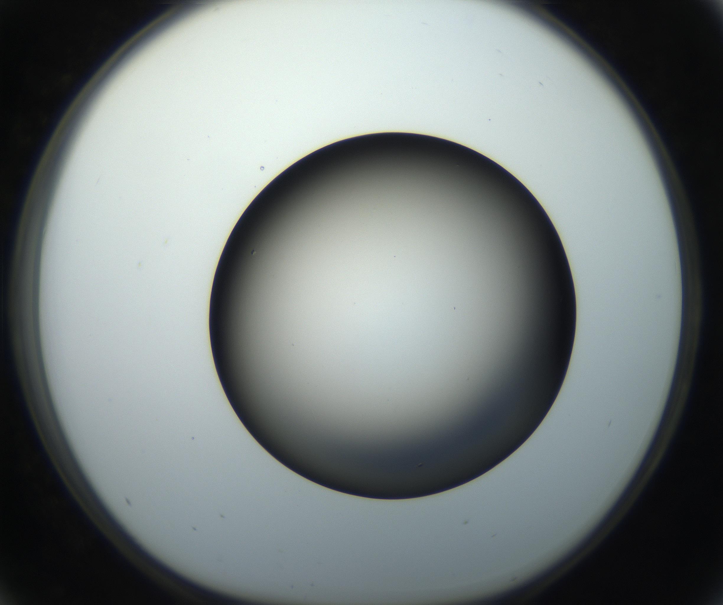 RI01_03_000_0212_Proj1_Clon1_MC_0000MC102718_004_160921_05_04_01_00_99_002_001_RAI.jpg