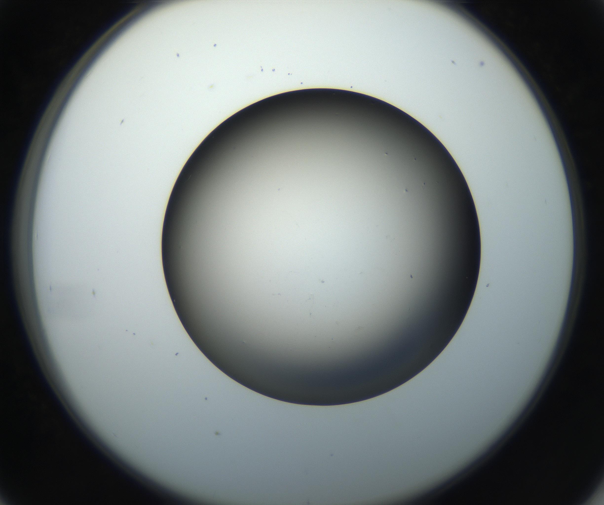 RI01_03_000_0212_Proj1_Clon1_MC_0000MC102718_004_160921_05_04_02_00_99_002_001_RAI.jpg