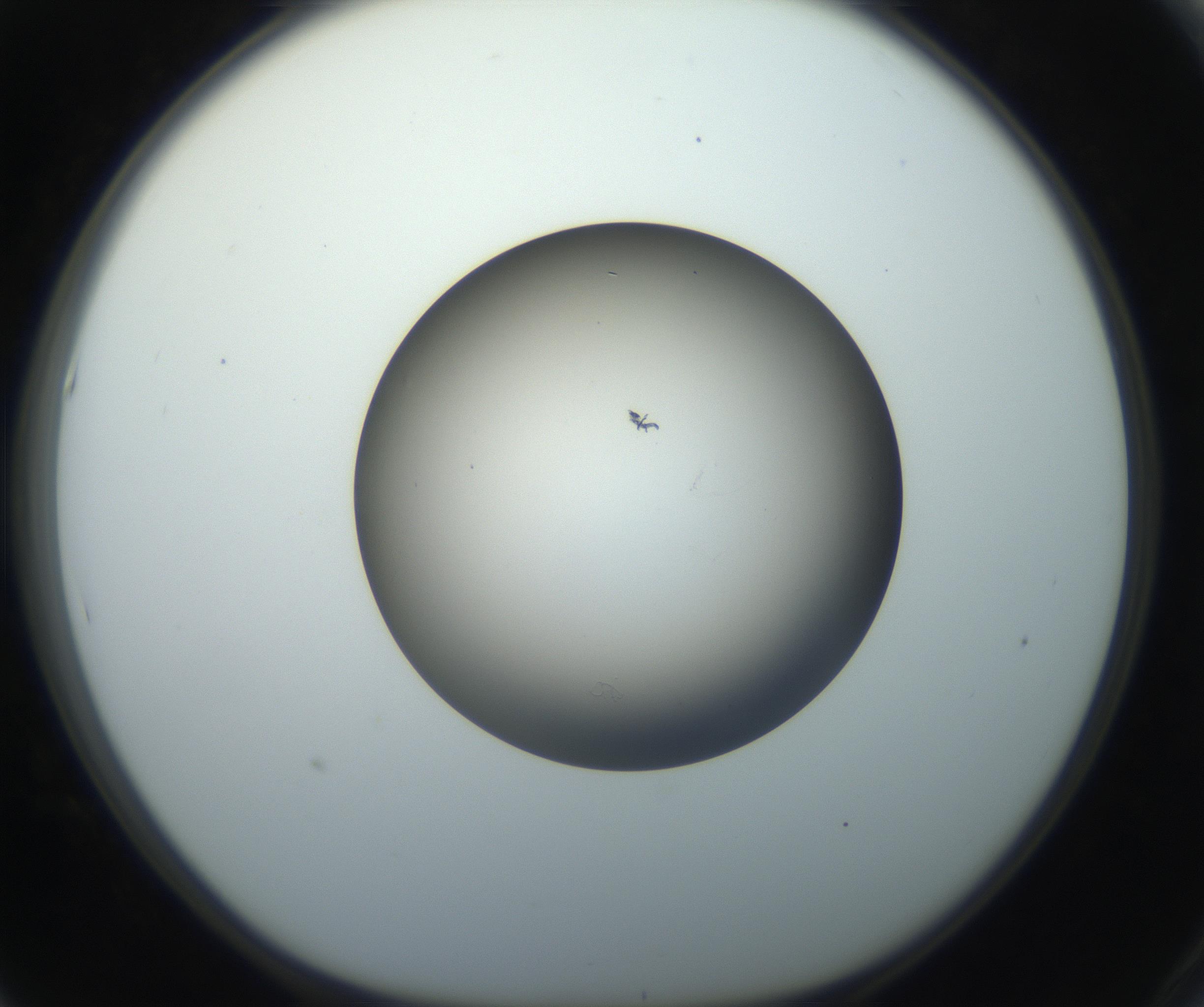 RI01_03_000_0212_Proj1_Clon1_MC_0000MC102718_004_160921_05_05_01_00_99_002_001_RAI.jpg