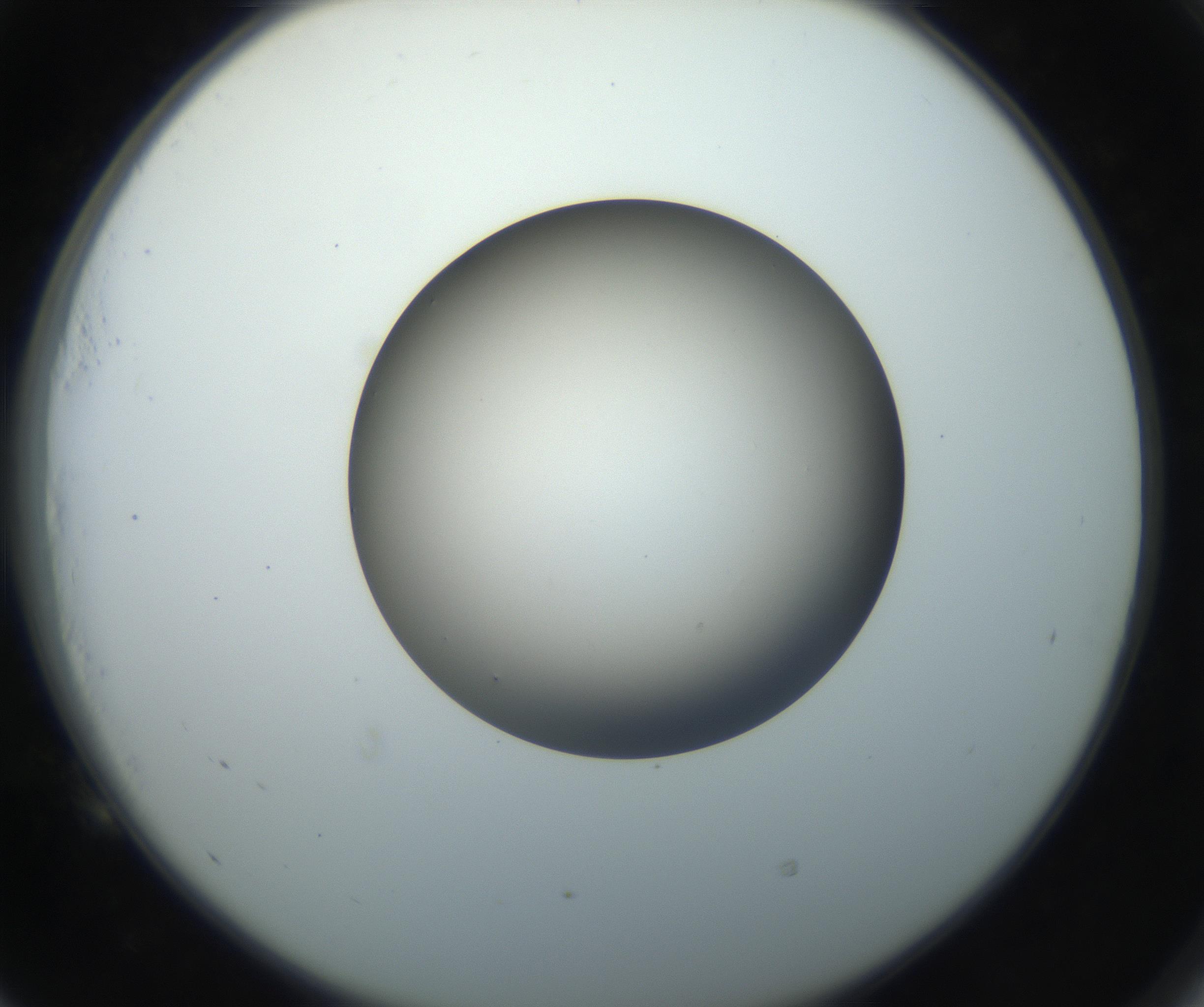 RI01_03_000_0212_Proj1_Clon1_MC_0000MC102718_004_160921_05_05_02_00_99_002_001_RAI.jpg