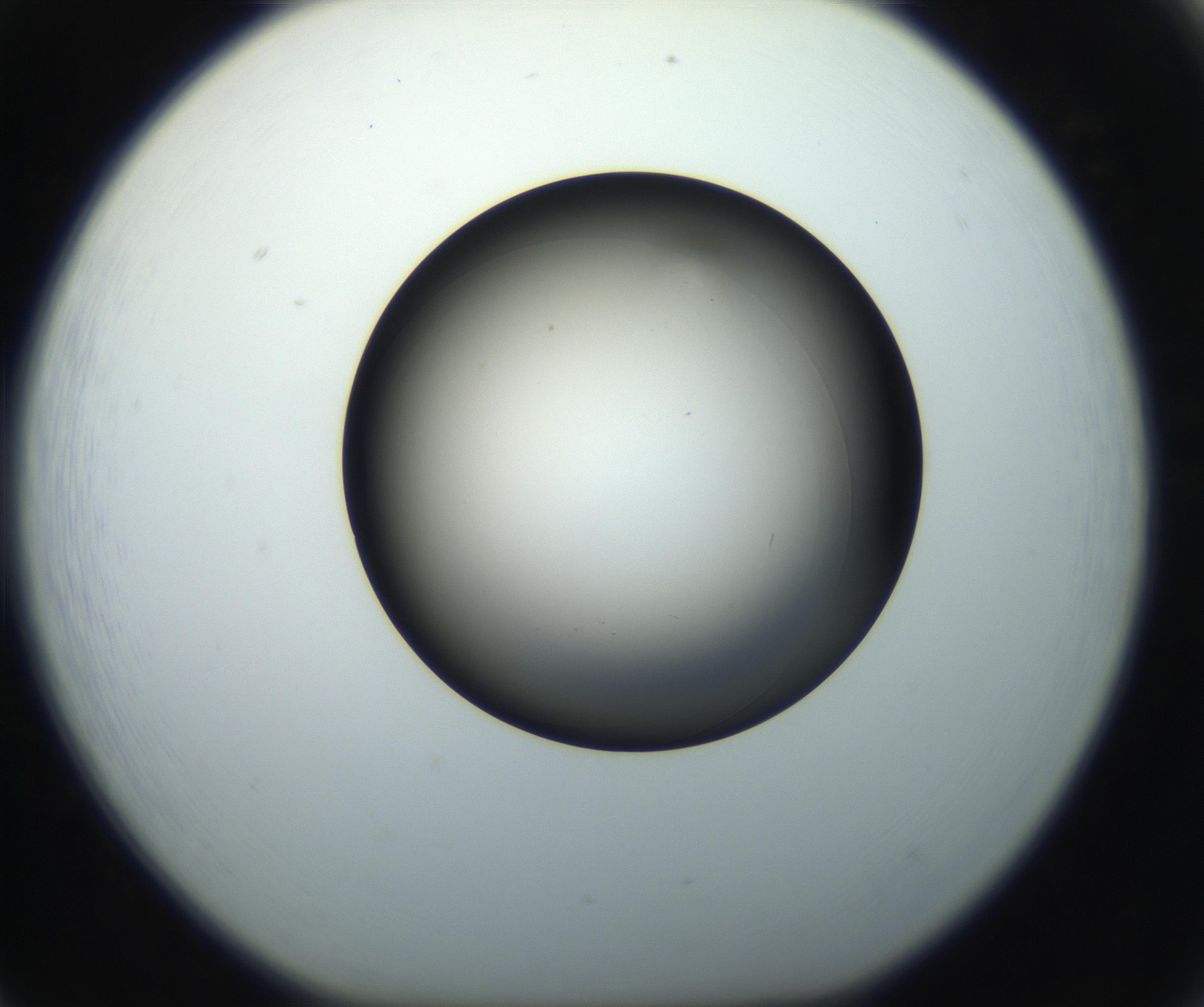 RI01_03_000_0212_Proj1_Clon1_MC_0000MC102718_004_160921_05_06_01_00_99_002_001_RAI.jpg