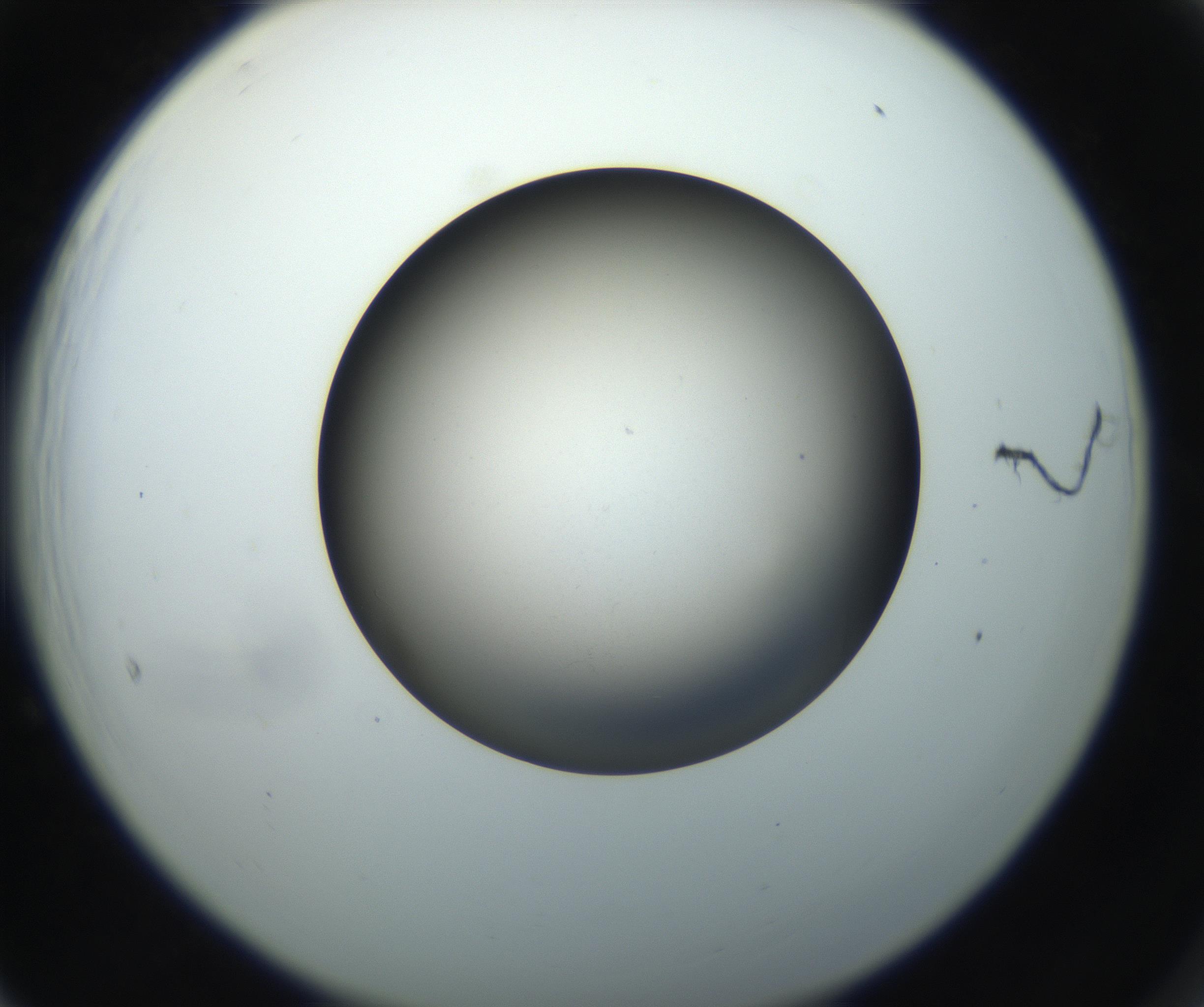 RI01_03_000_0212_Proj1_Clon1_MC_0000MC102718_004_160921_05_06_02_00_99_002_001_RAI.jpg