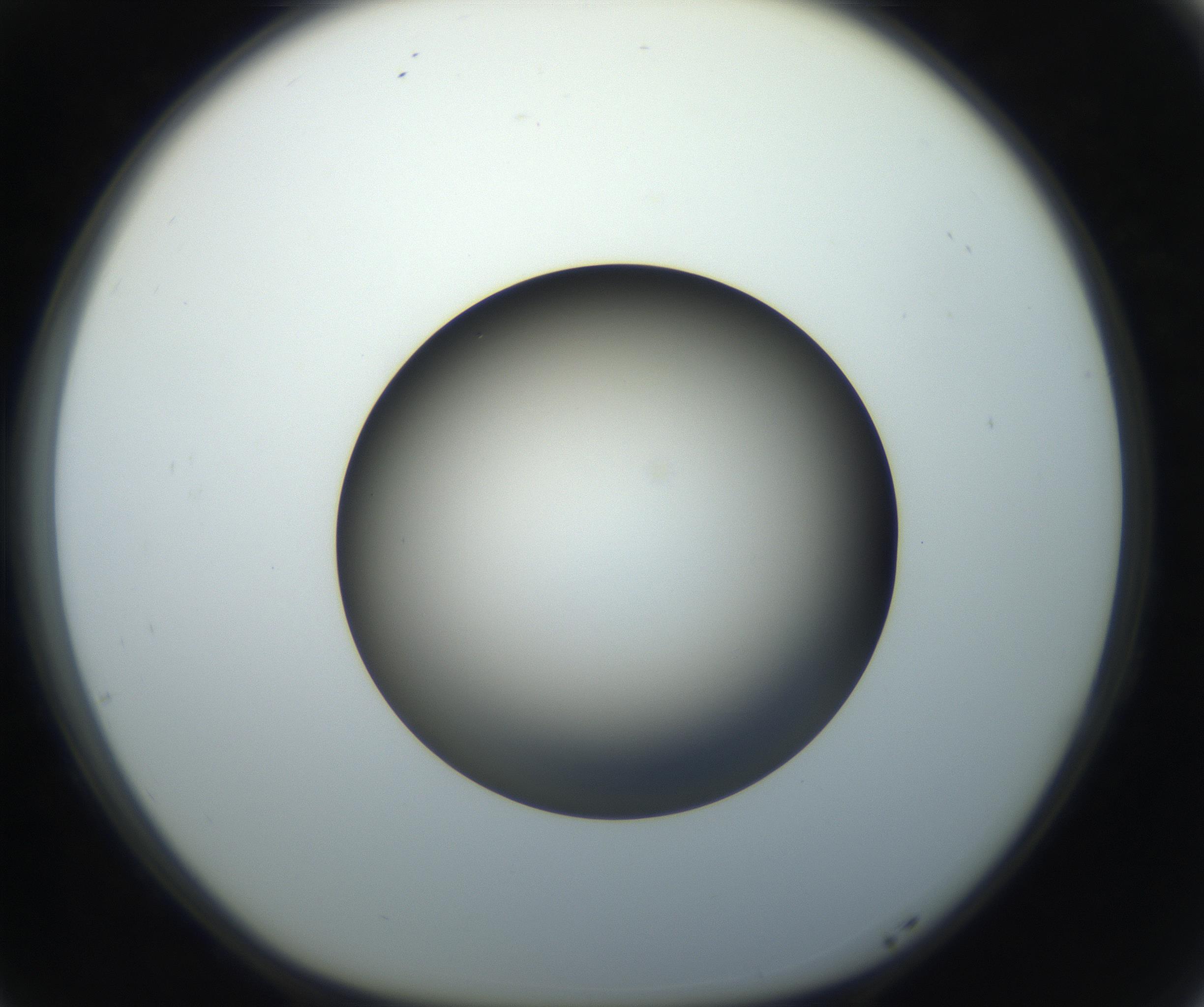 RI01_03_000_0212_Proj1_Clon1_MC_0000MC102718_004_160921_05_07_01_00_99_002_001_RAI.jpg