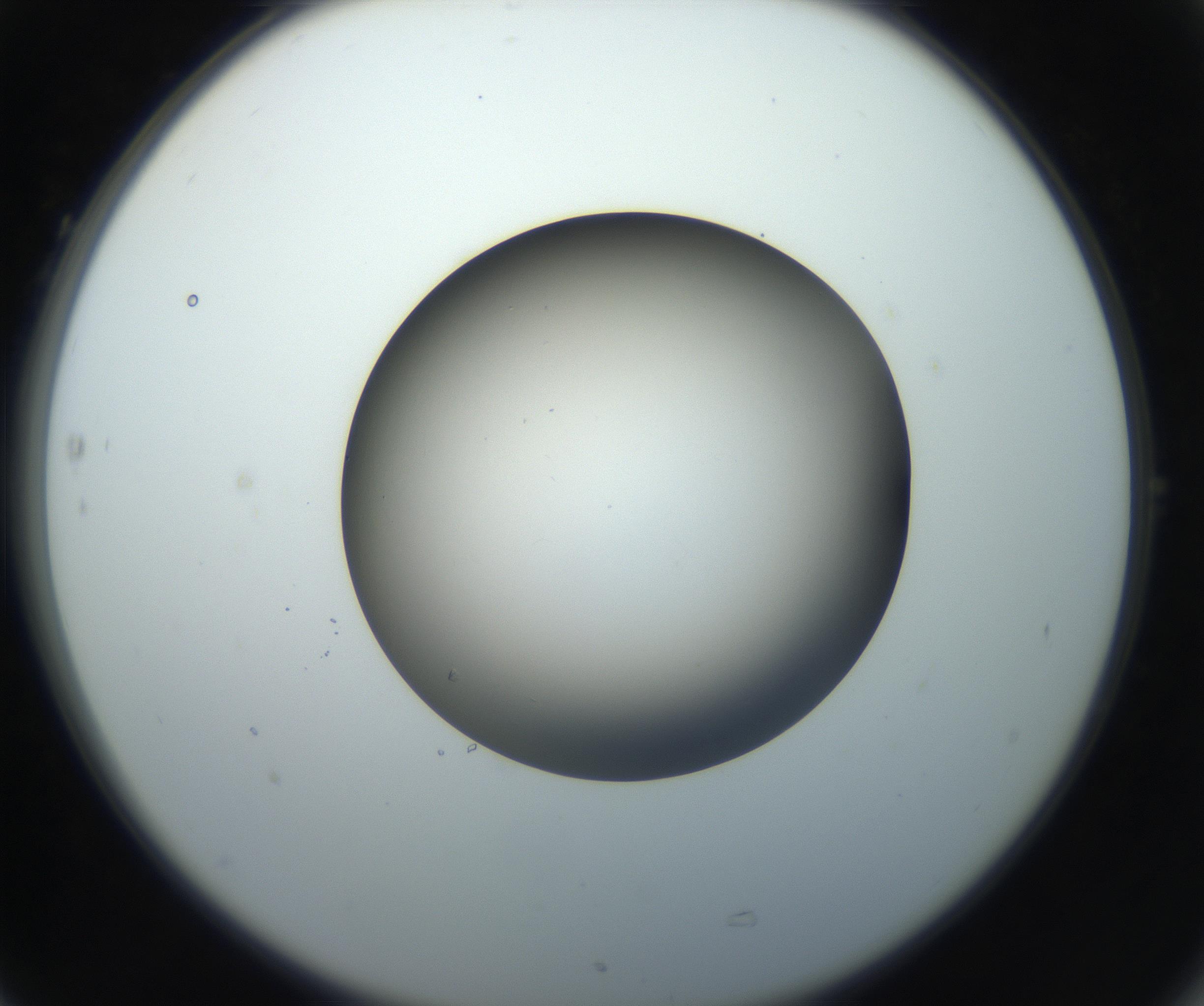 RI01_03_000_0212_Proj1_Clon1_MC_0000MC102718_004_160921_05_07_02_00_99_002_001_RAI.jpg