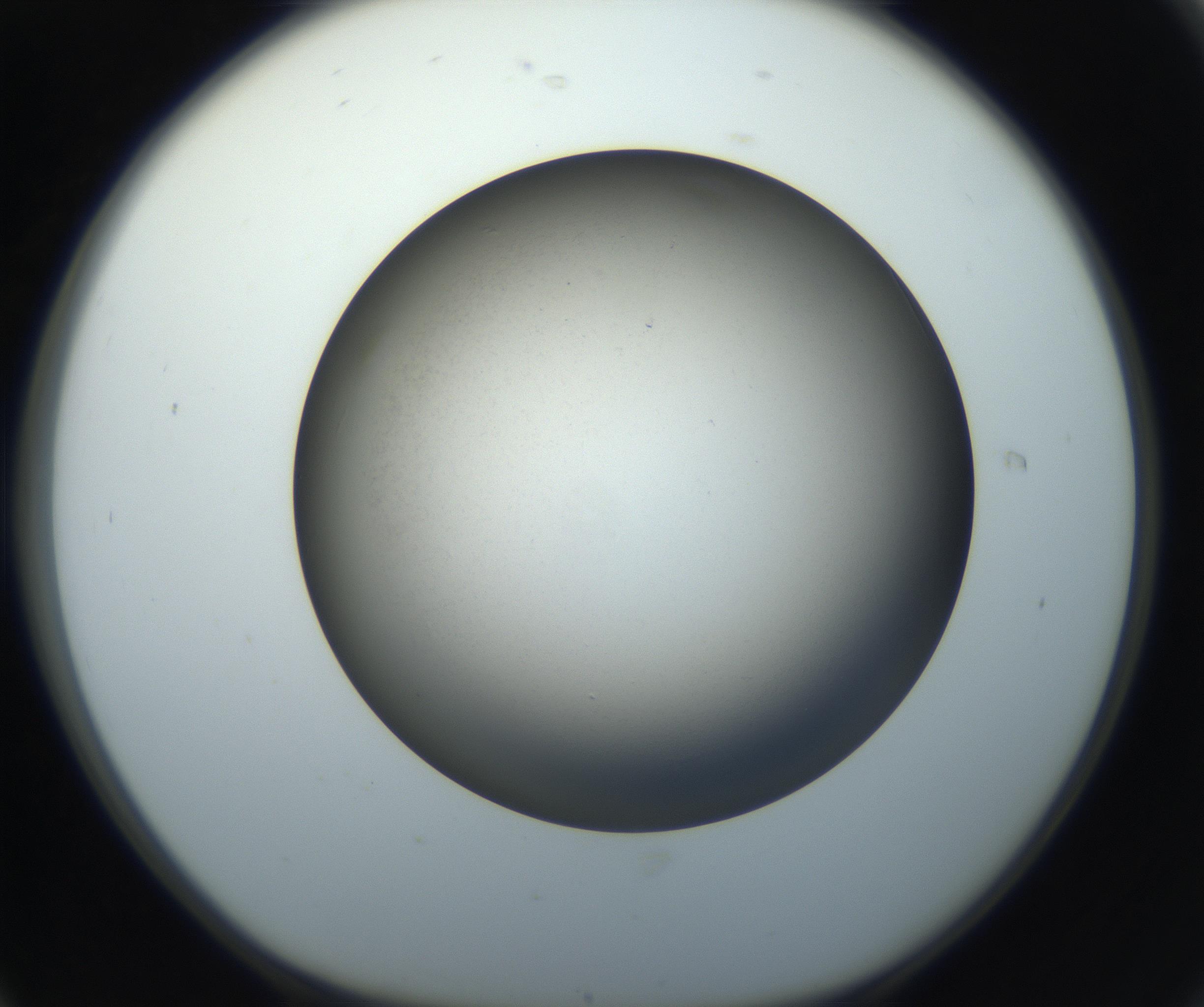 RI01_03_000_0212_Proj1_Clon1_MC_0000MC102718_004_160921_06_01_01_00_99_002_001_RAI.jpg
