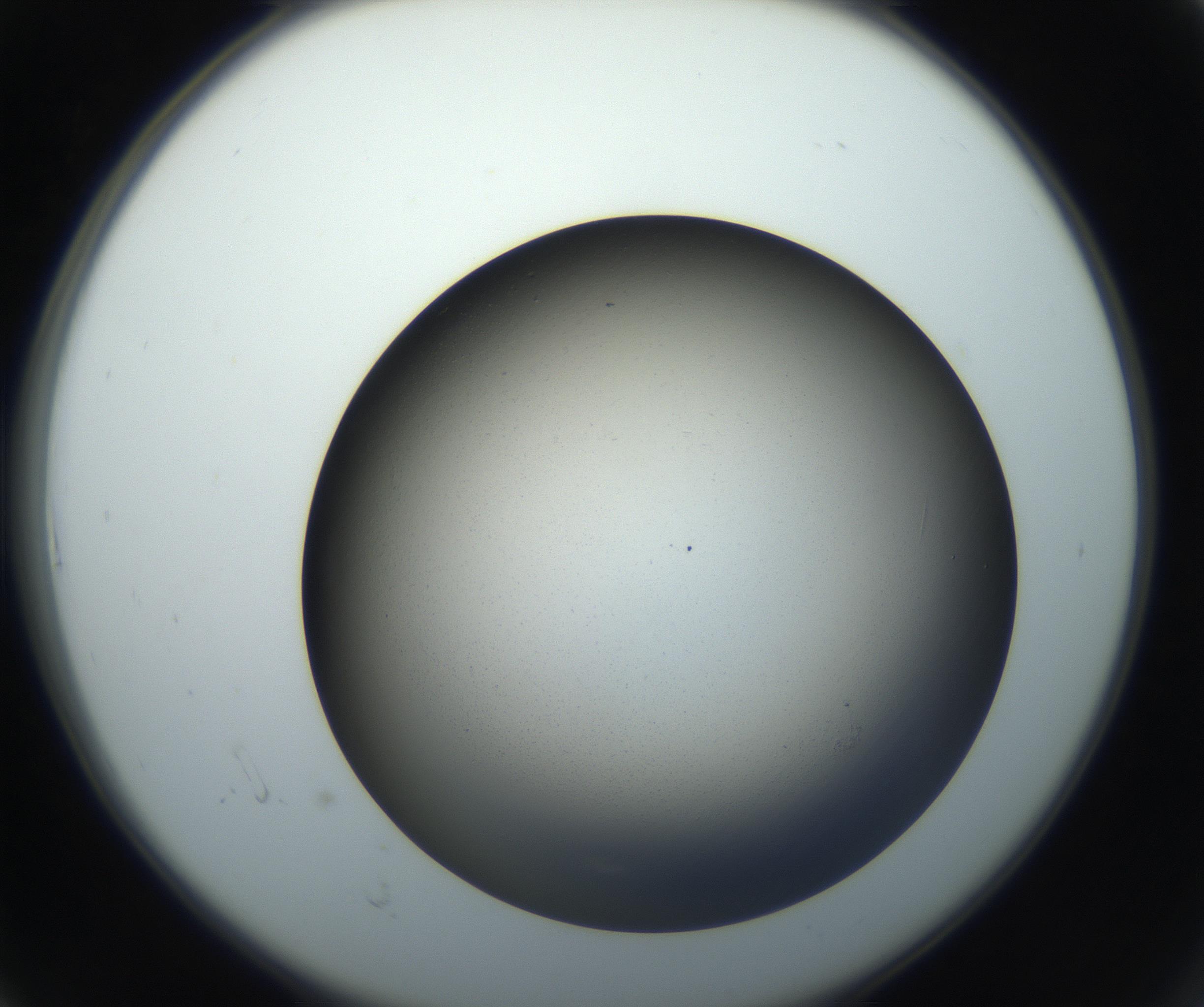 RI01_03_000_0212_Proj1_Clon1_MC_0000MC102718_004_160921_06_01_02_00_99_002_001_RAI.jpg