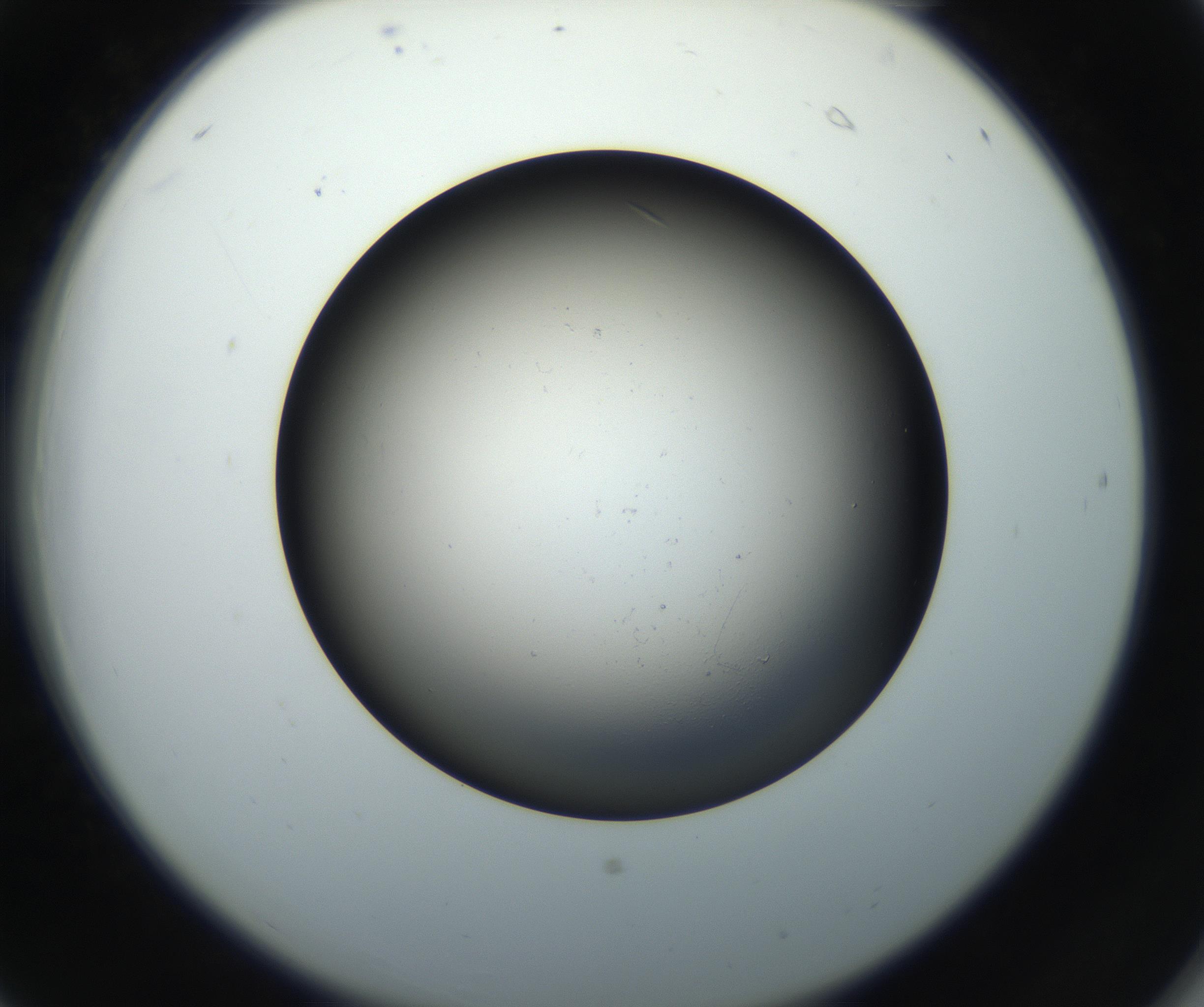 RI01_03_000_0212_Proj1_Clon1_MC_0000MC102718_004_160921_06_02_02_00_99_002_001_RAI.jpg