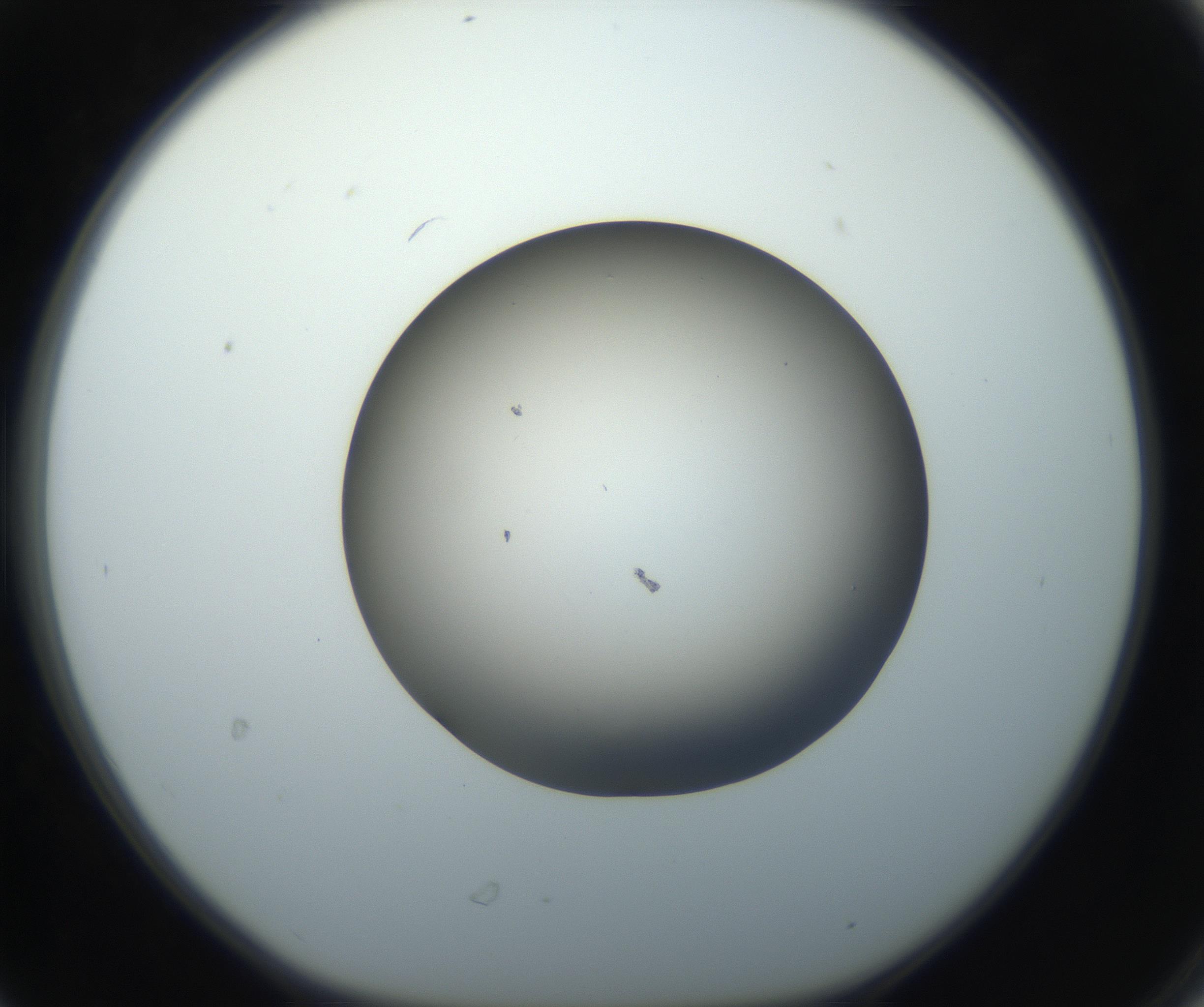 RI01_03_000_0212_Proj1_Clon1_MC_0000MC102718_004_160921_06_03_01_00_99_002_001_RAI.jpg