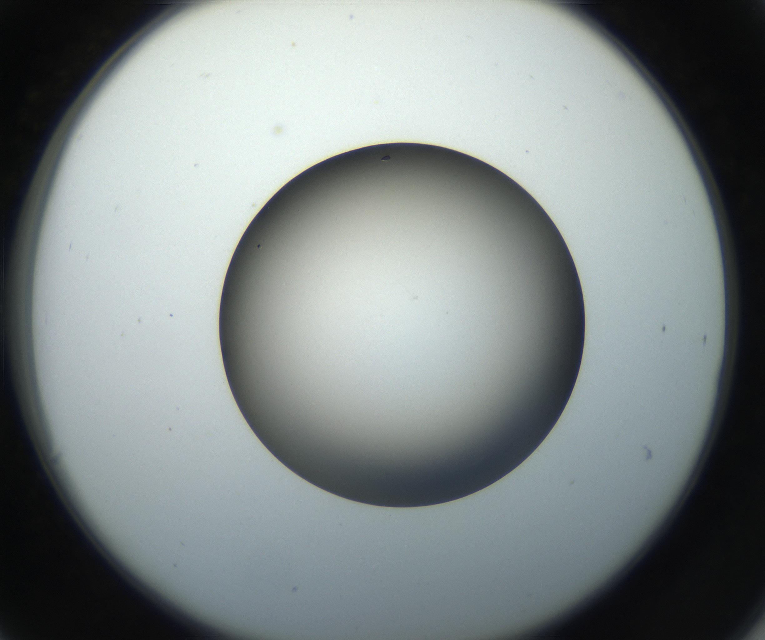 RI01_03_000_0212_Proj1_Clon1_MC_0000MC102718_004_160921_06_03_02_00_99_002_001_RAI.jpg