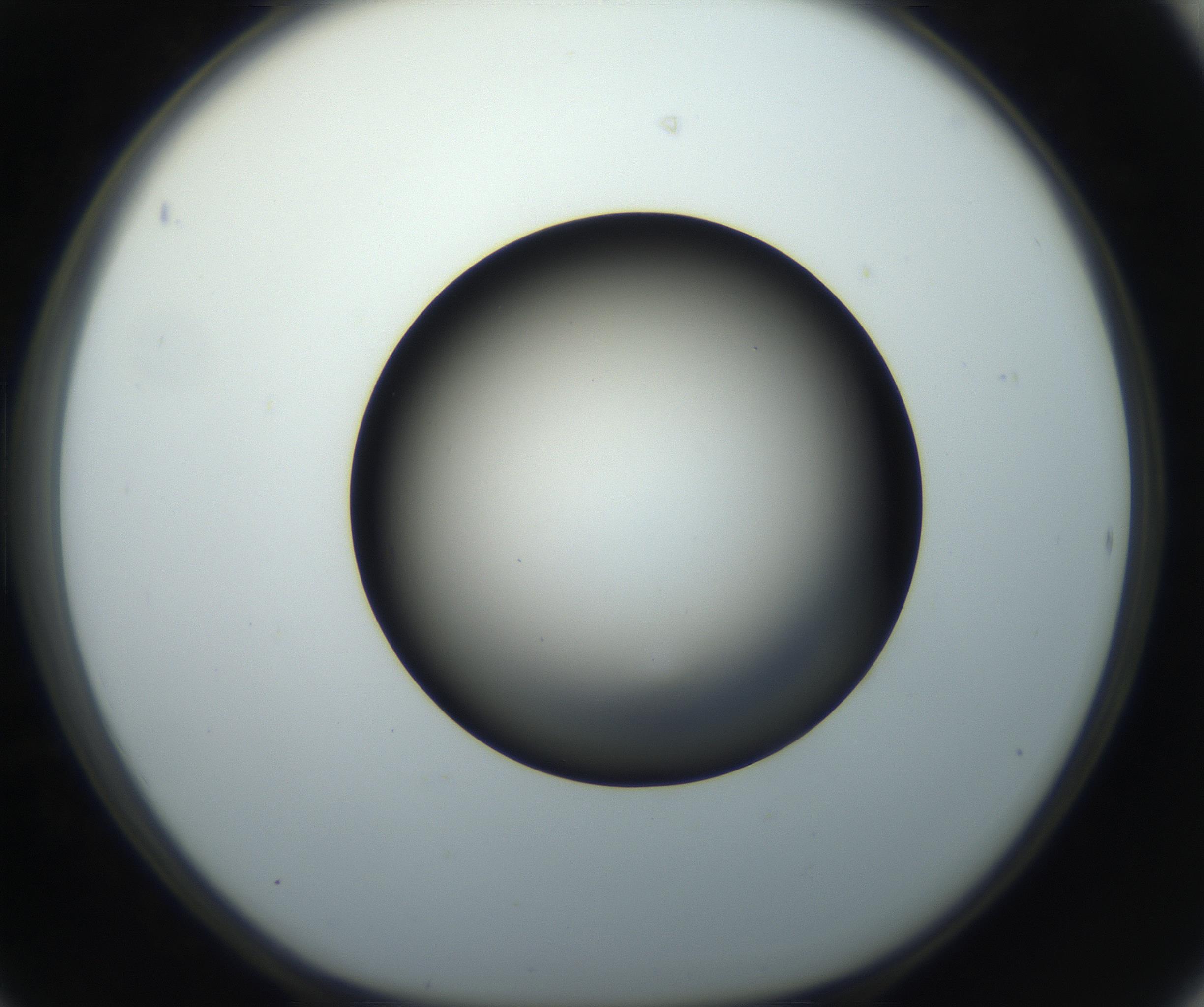 RI01_03_000_0212_Proj1_Clon1_MC_0000MC102718_004_160921_06_04_01_00_99_002_001_RAI.jpg