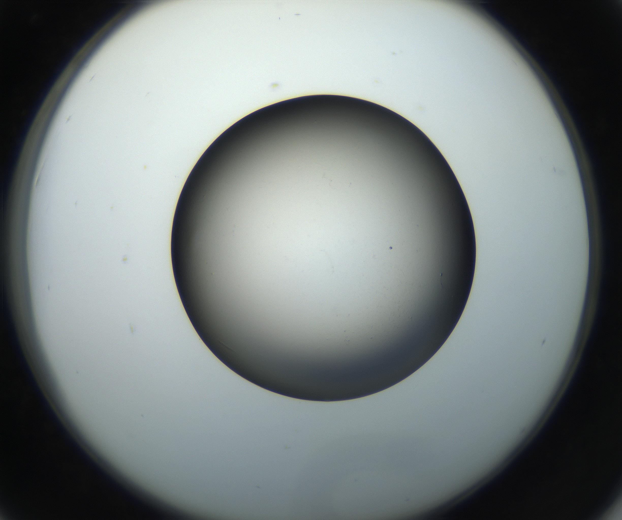 RI01_03_000_0212_Proj1_Clon1_MC_0000MC102718_004_160921_06_04_02_00_99_002_001_RAI.jpg