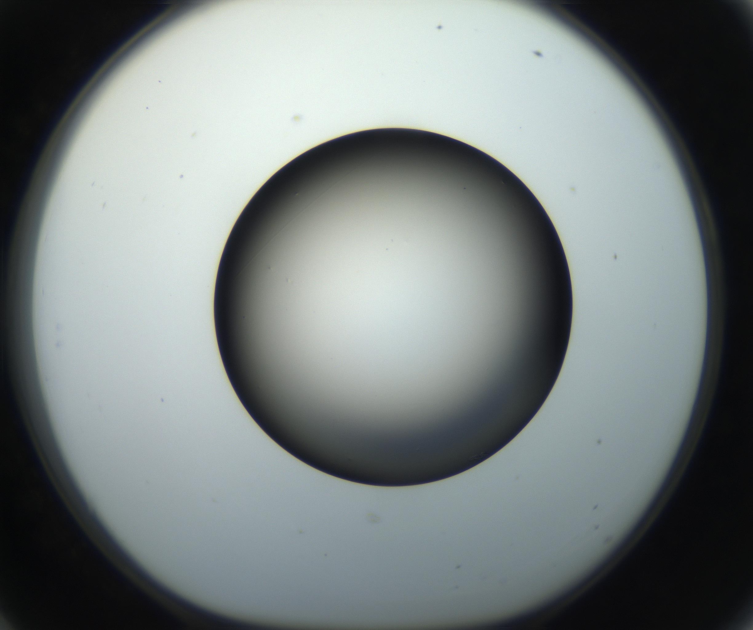 RI01_03_000_0212_Proj1_Clon1_MC_0000MC102718_004_160921_06_05_01_00_99_002_001_RAI.jpg