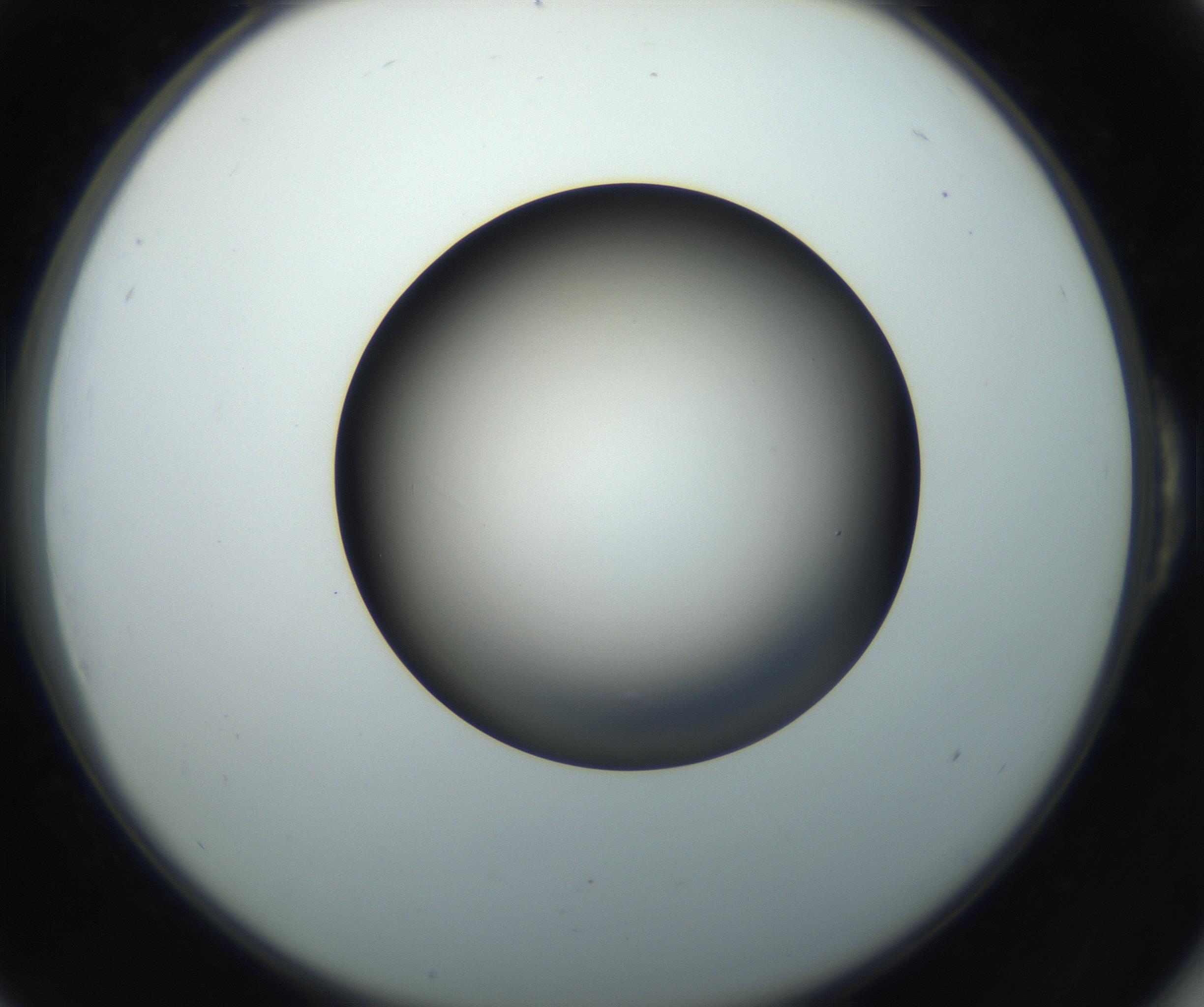 RI01_03_000_0212_Proj1_Clon1_MC_0000MC102718_004_160921_06_05_02_00_99_002_001_RAI.jpg