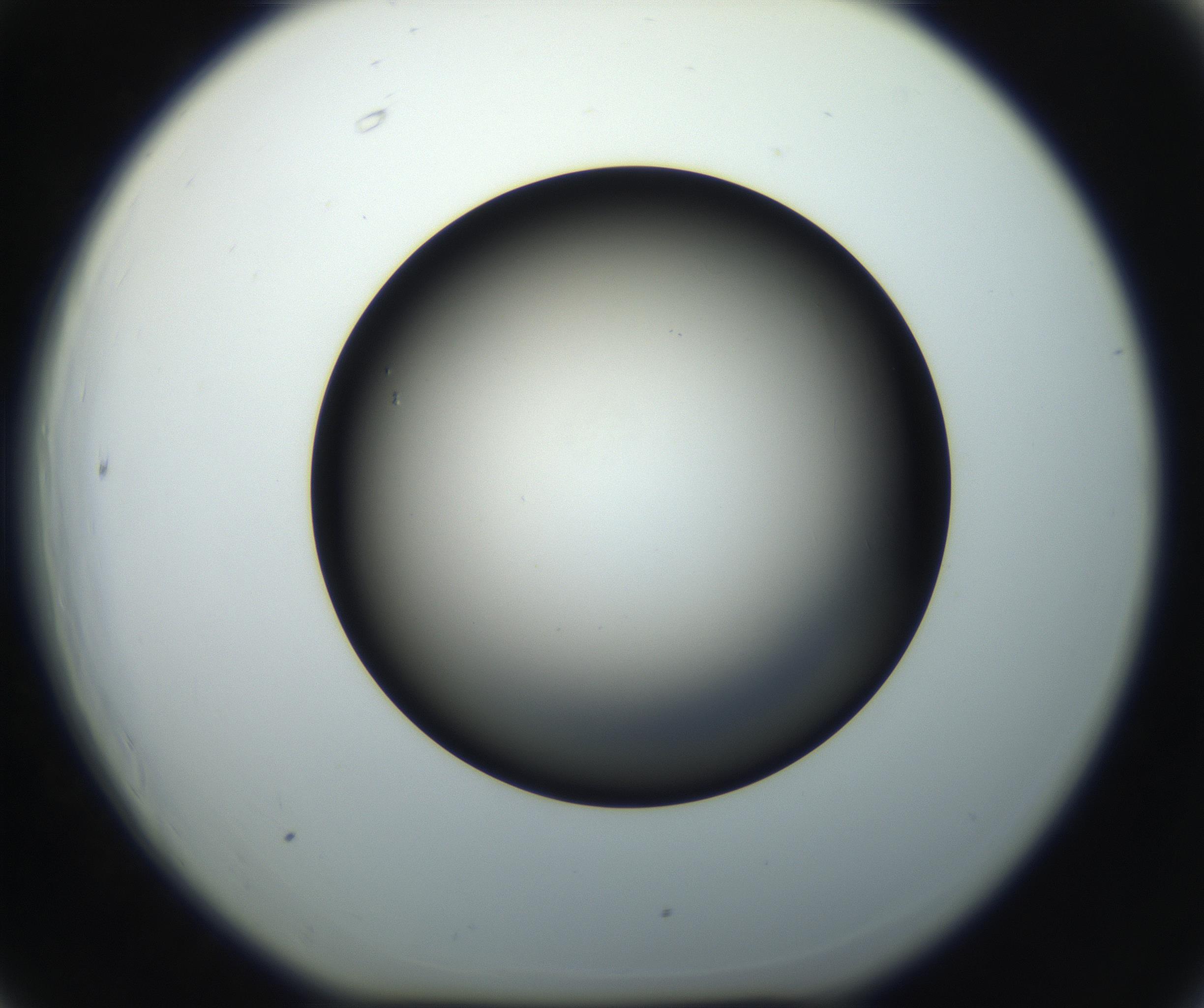 RI01_03_000_0212_Proj1_Clon1_MC_0000MC102718_004_160921_06_06_01_00_99_002_001_RAI.jpg