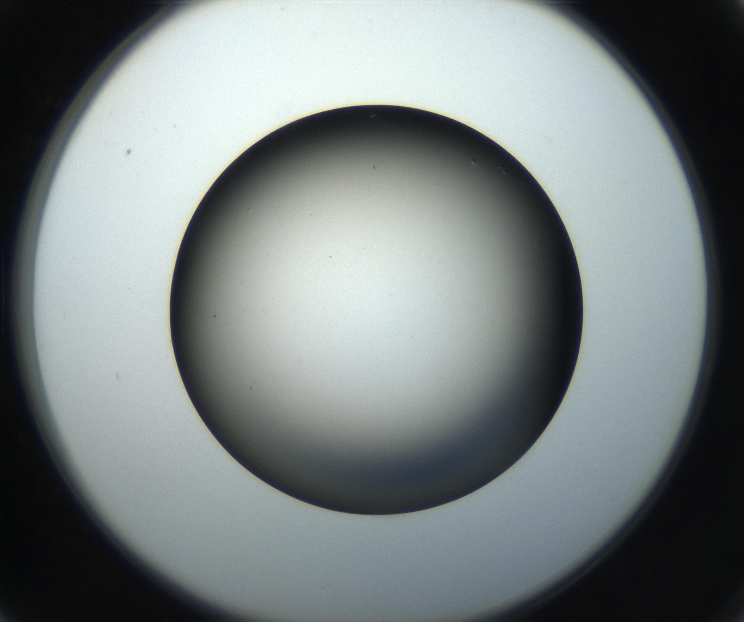 RI01_03_000_0212_Proj1_Clon1_MC_0000MC102718_004_160921_06_06_02_00_99_002_001_RAI.jpg