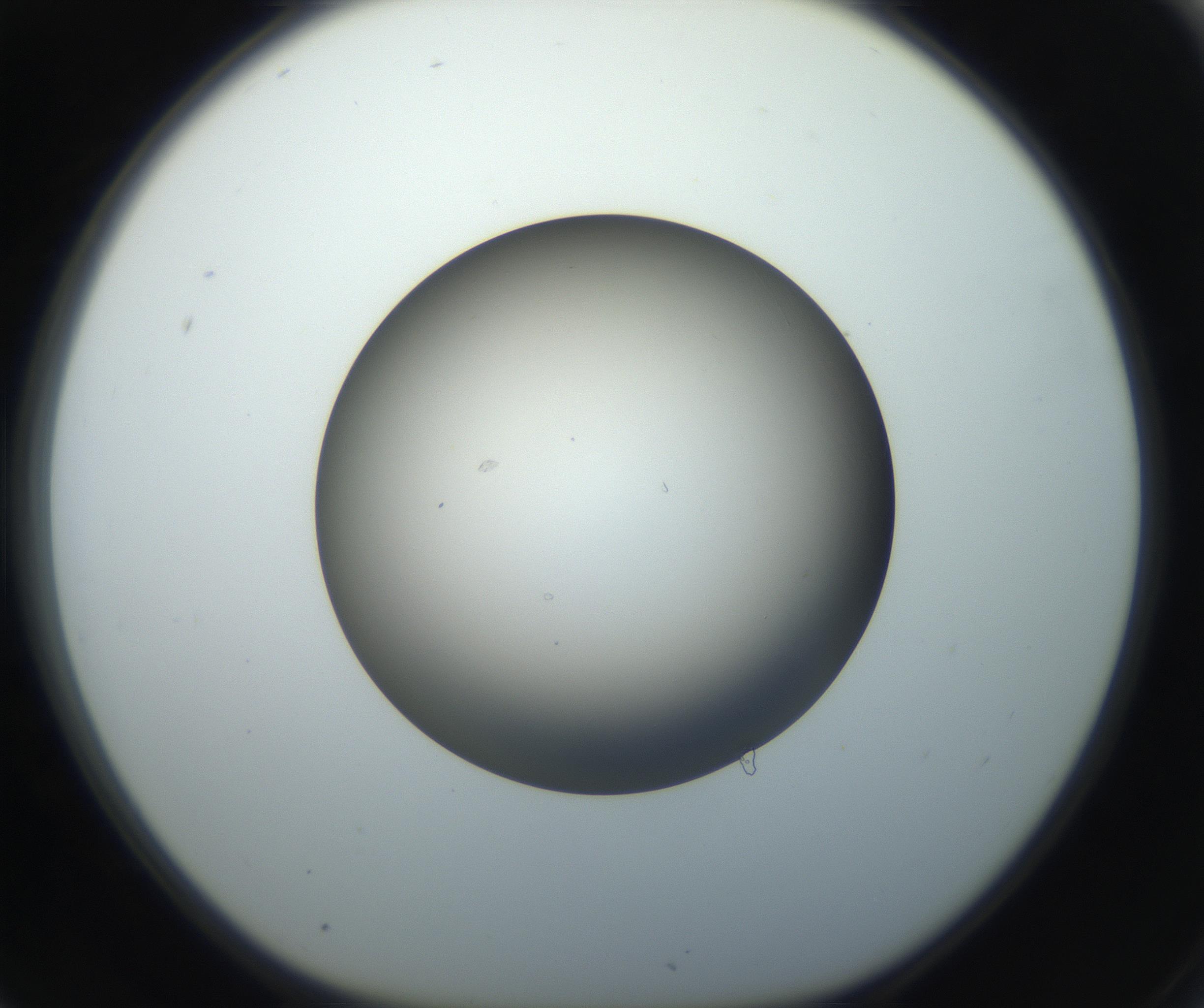 RI01_03_000_0212_Proj1_Clon1_MC_0000MC102718_004_160921_06_07_01_00_99_002_001_RAI.jpg