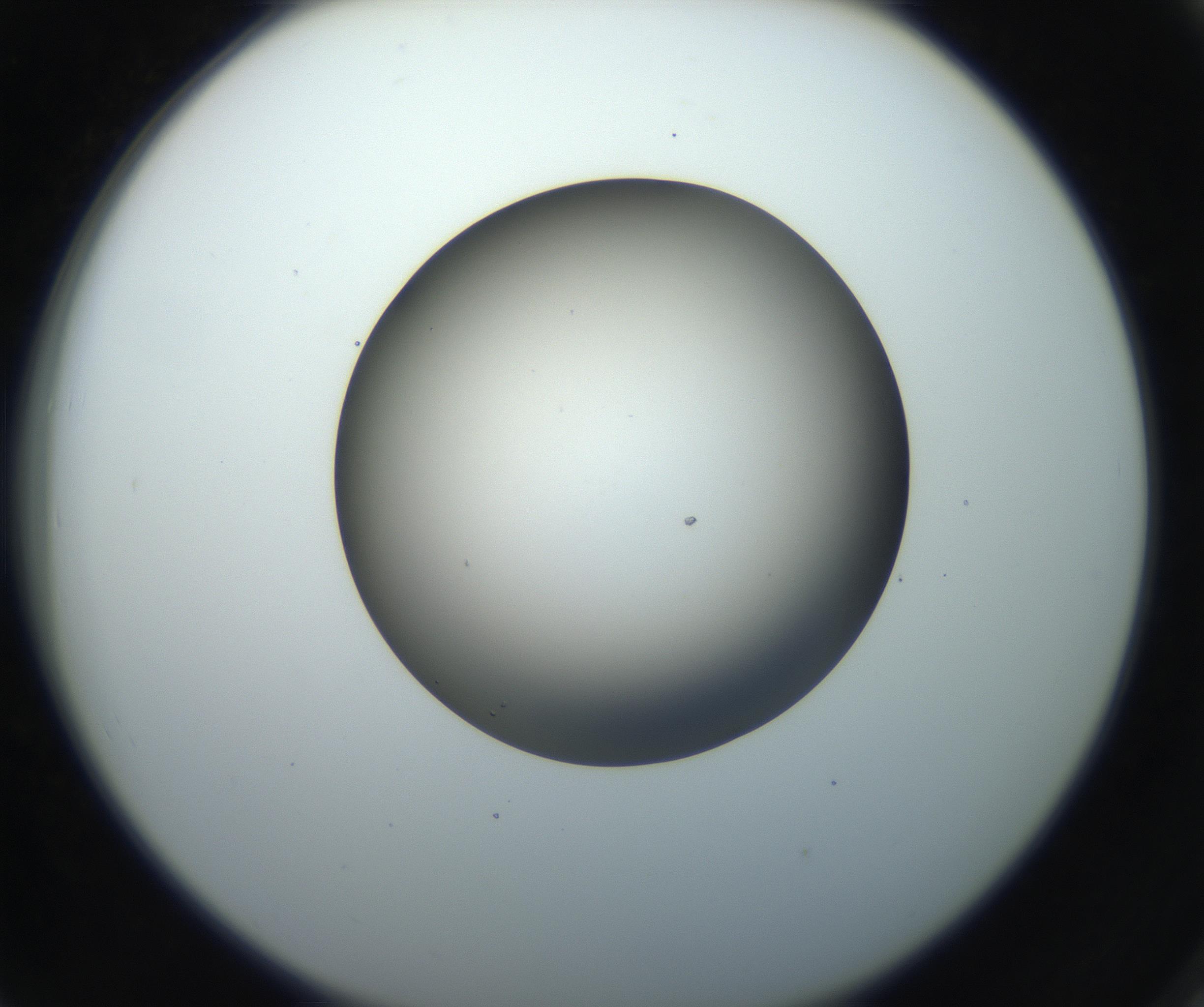 RI01_03_000_0212_Proj1_Clon1_MC_0000MC102718_004_160921_06_07_02_00_99_002_001_RAI.jpg
