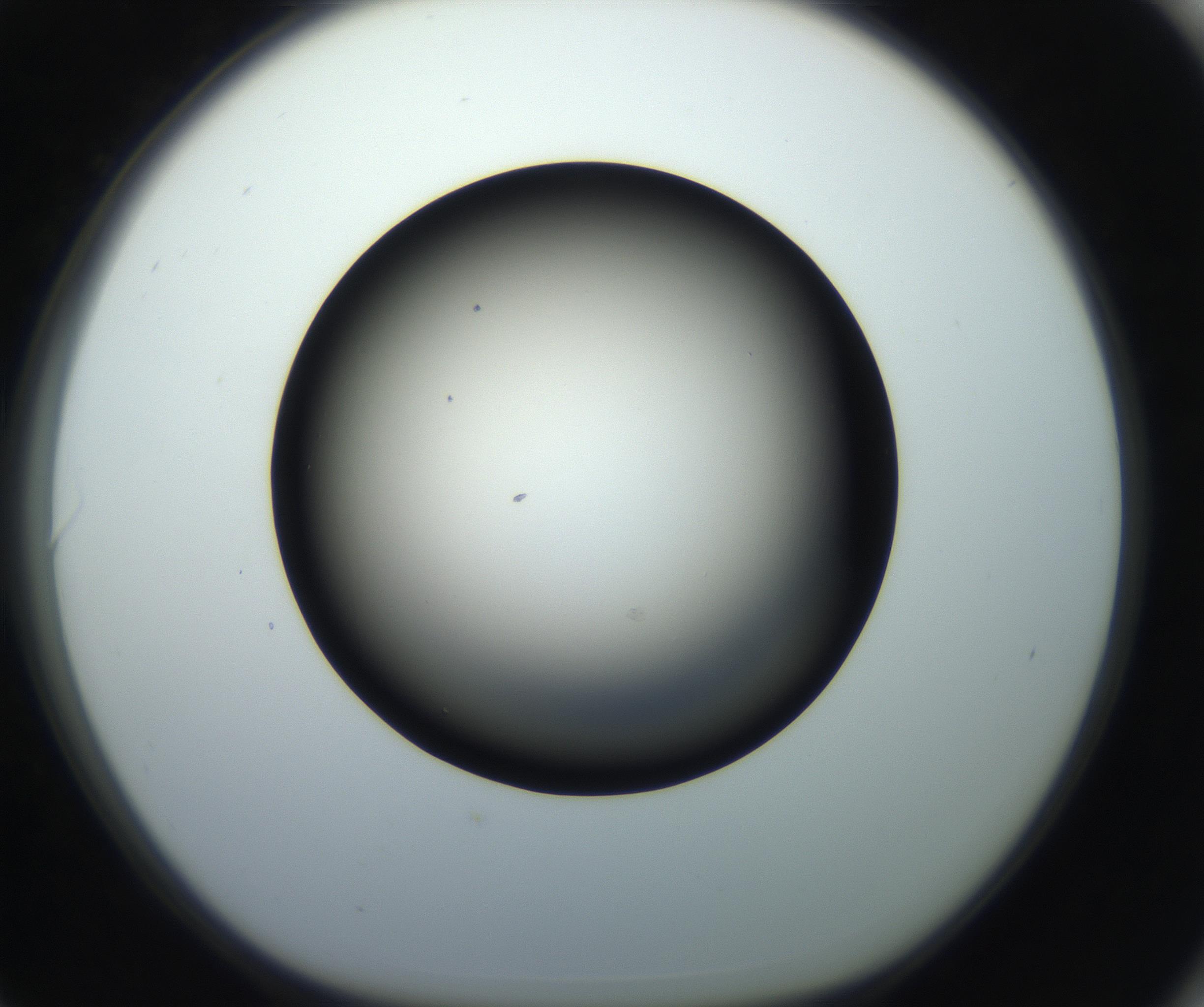 RI01_03_000_0212_Proj1_Clon1_MC_0000MC102718_004_160921_06_08_01_00_99_002_001_RAI.jpg