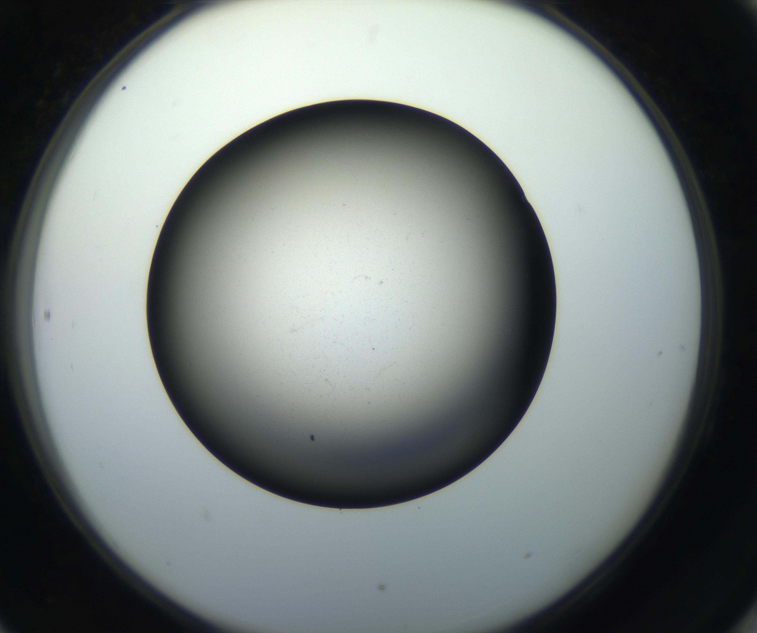 RI01_03_000_0212_Proj1_Clon1_MC_0000MC102718_004_160921_06_08_02_00_99_002_001_RAI.jpg