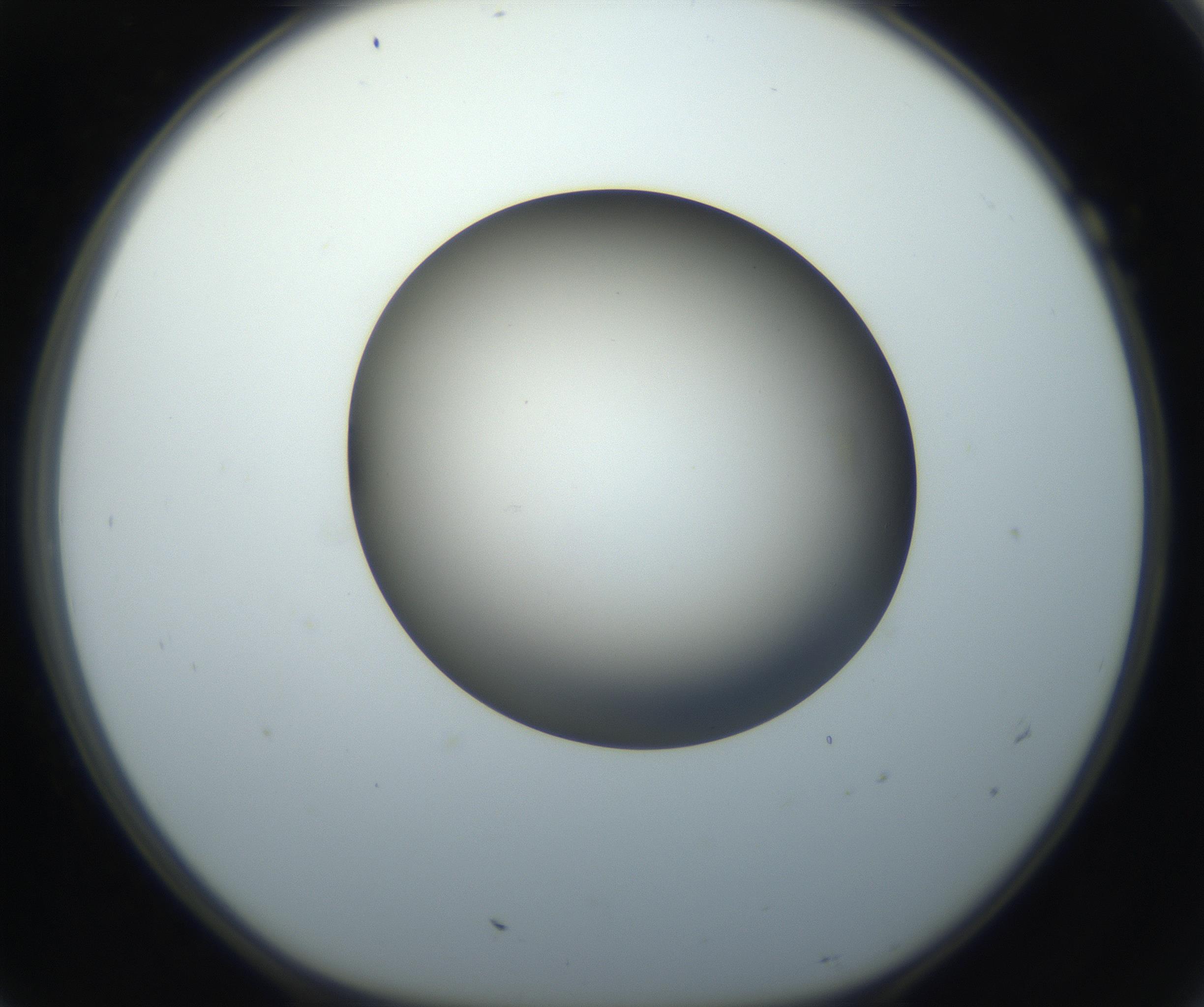 RI01_03_000_0212_Proj1_Clon1_MC_0000MC102718_004_160921_07_01_01_00_99_002_001_RAI.jpg