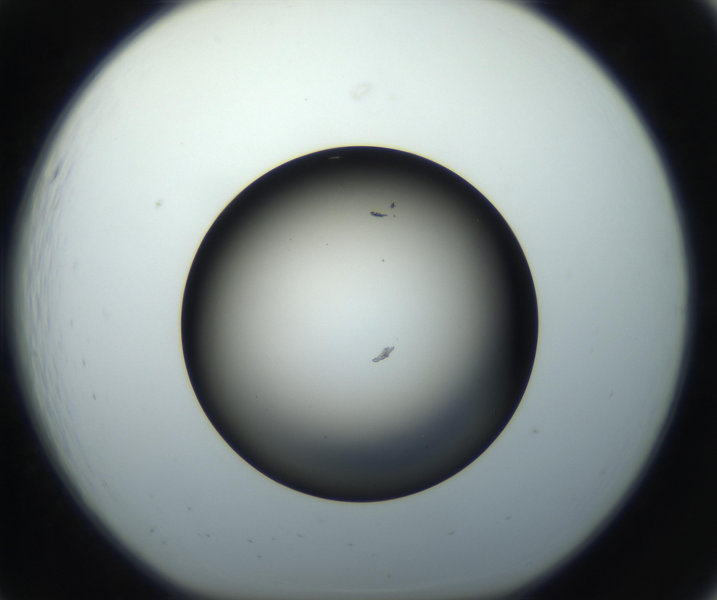 RI01_03_000_0212_Proj1_Clon1_MC_0000MC102718_004_160921_07_02_01_00_99_002_001_RAI.jpg
