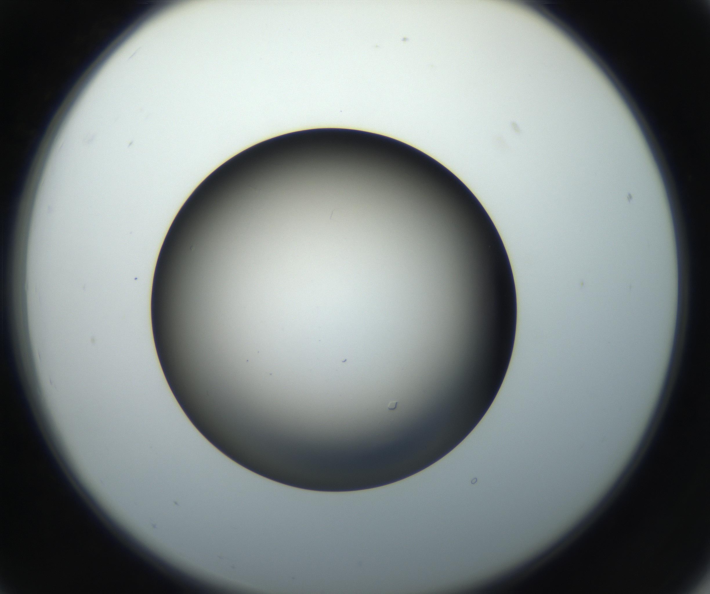 RI01_03_000_0212_Proj1_Clon1_MC_0000MC102718_004_160921_07_02_02_00_99_002_001_RAI.jpg