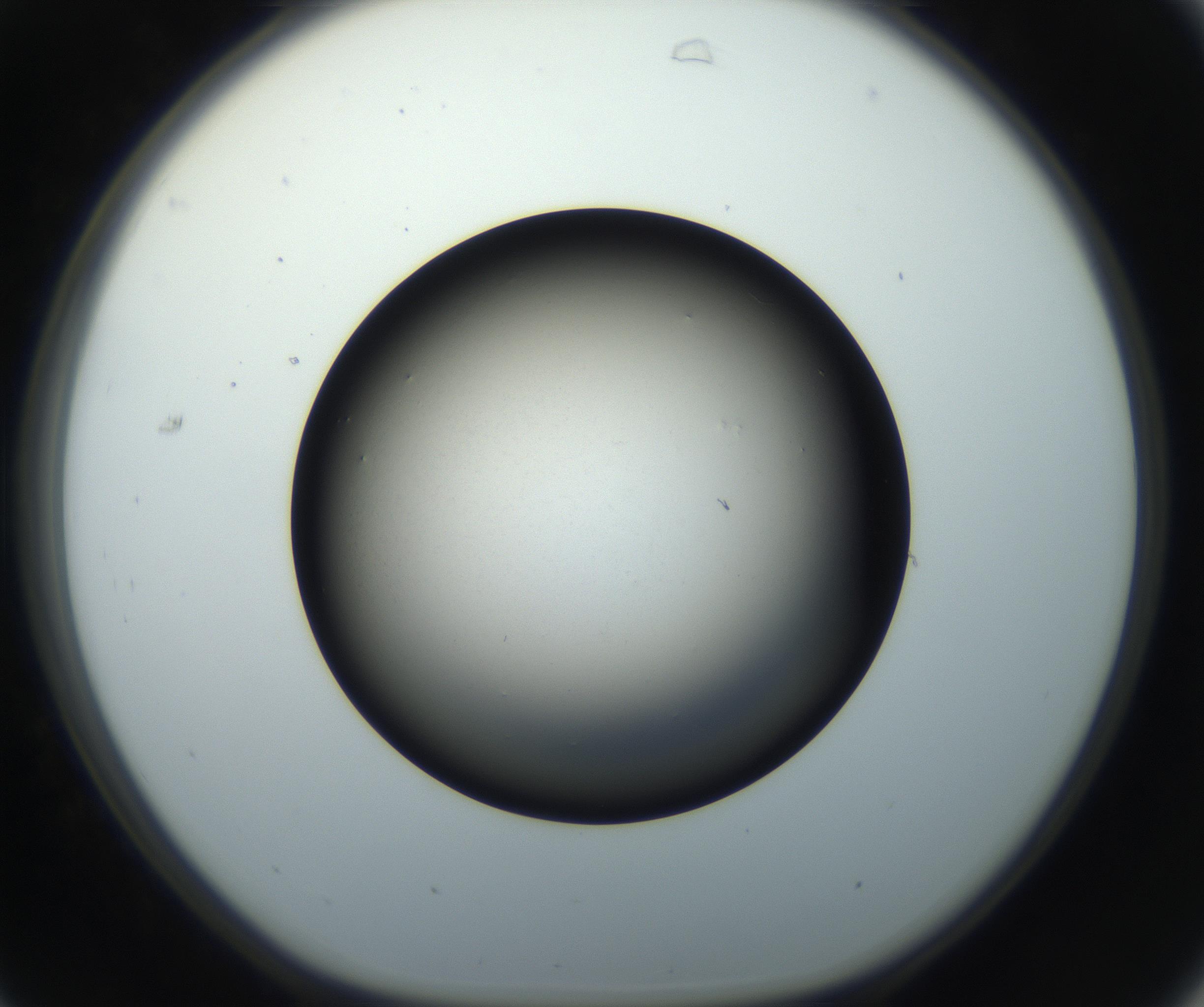 RI01_03_000_0212_Proj1_Clon1_MC_0000MC102718_004_160921_07_03_01_00_99_002_001_RAI.jpg