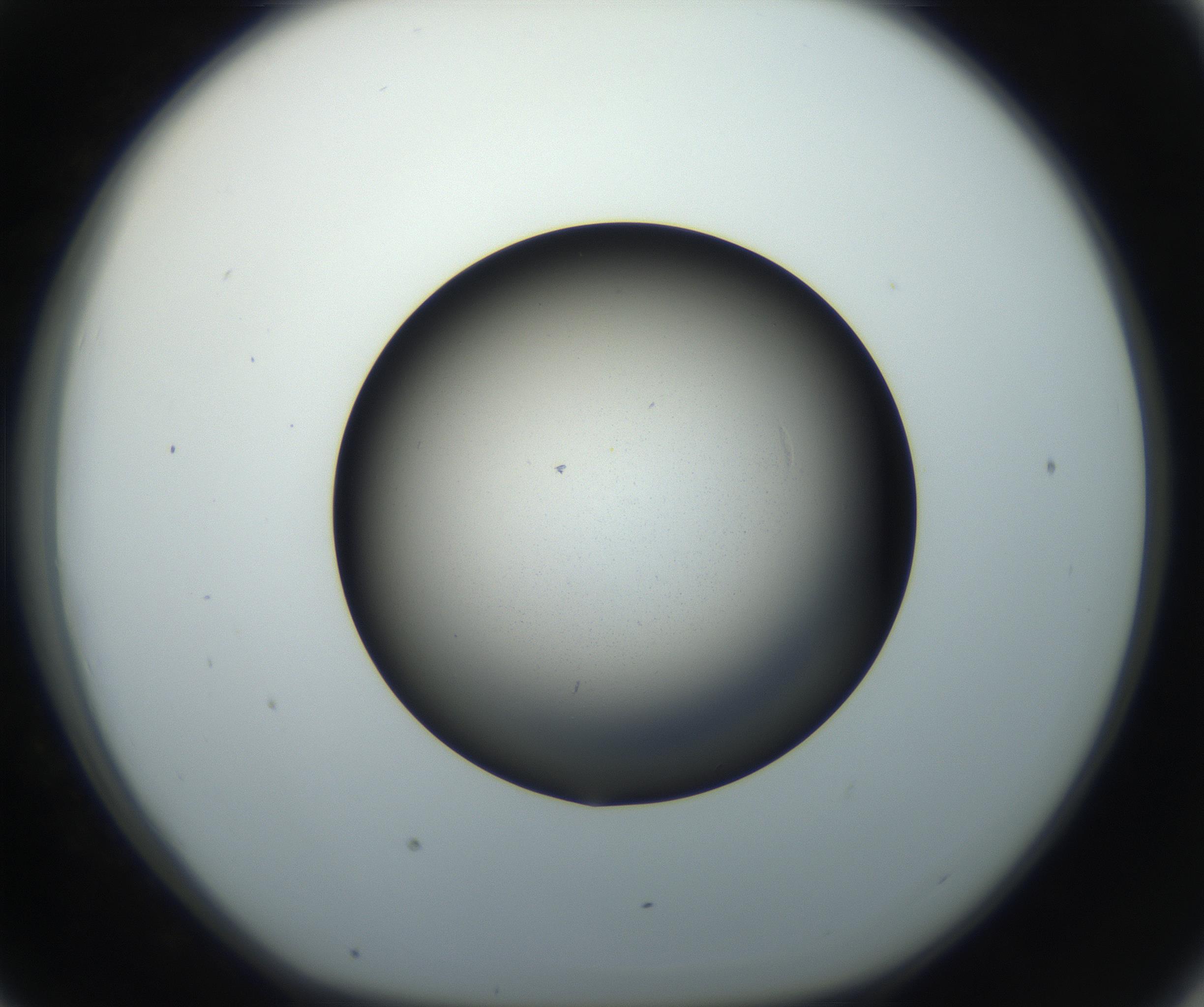 RI01_03_000_0212_Proj1_Clon1_MC_0000MC102718_004_160921_07_04_01_00_99_002_001_RAI.jpg