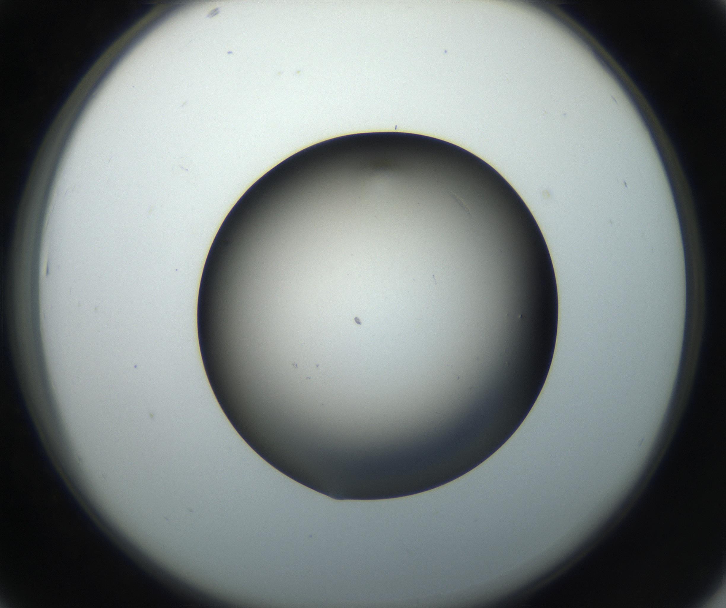 RI01_03_000_0212_Proj1_Clon1_MC_0000MC102718_004_160921_07_04_02_00_99_002_001_RAI.jpg