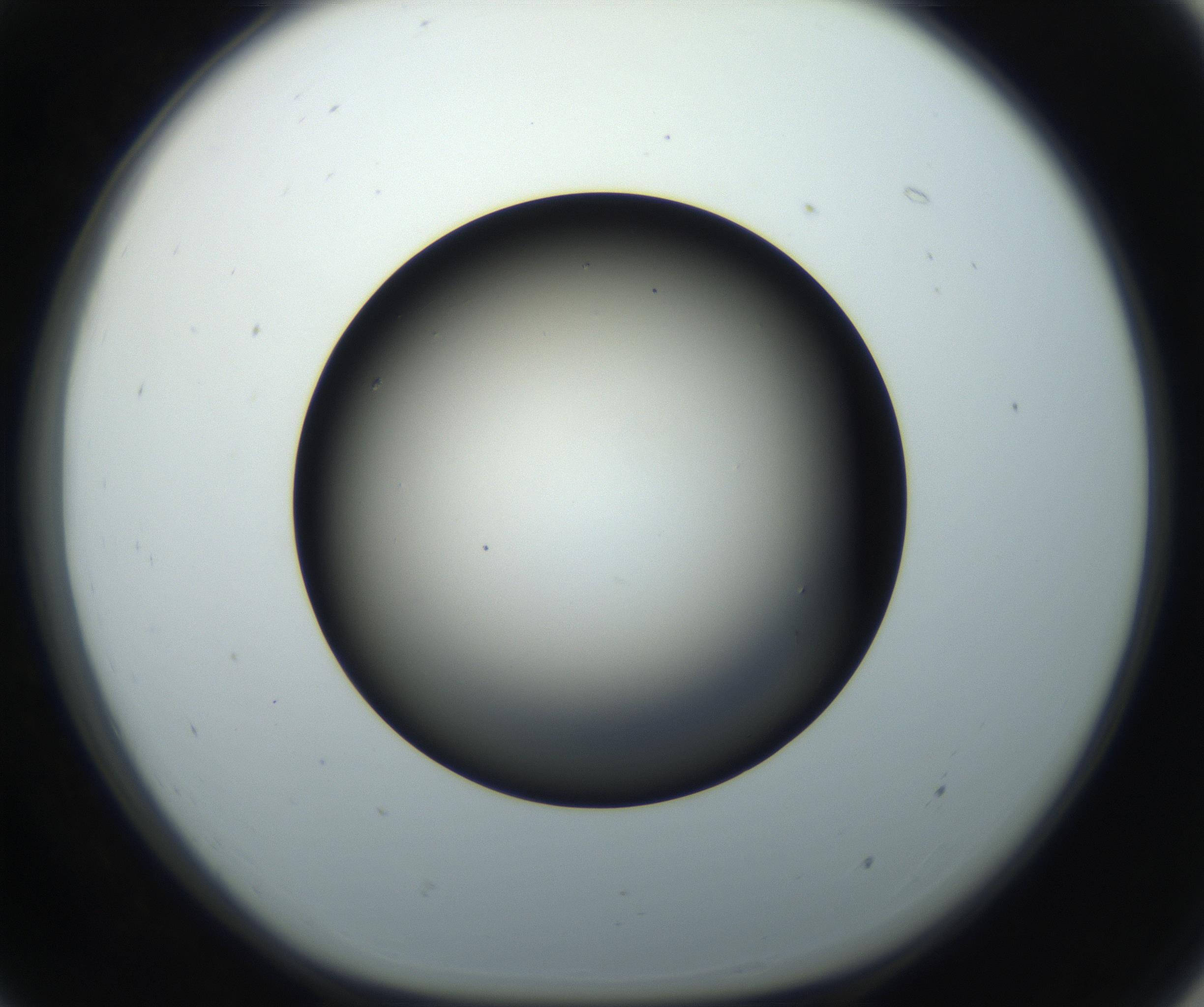 RI01_03_000_0212_Proj1_Clon1_MC_0000MC102718_004_160921_07_05_01_00_99_002_001_RAI.jpg