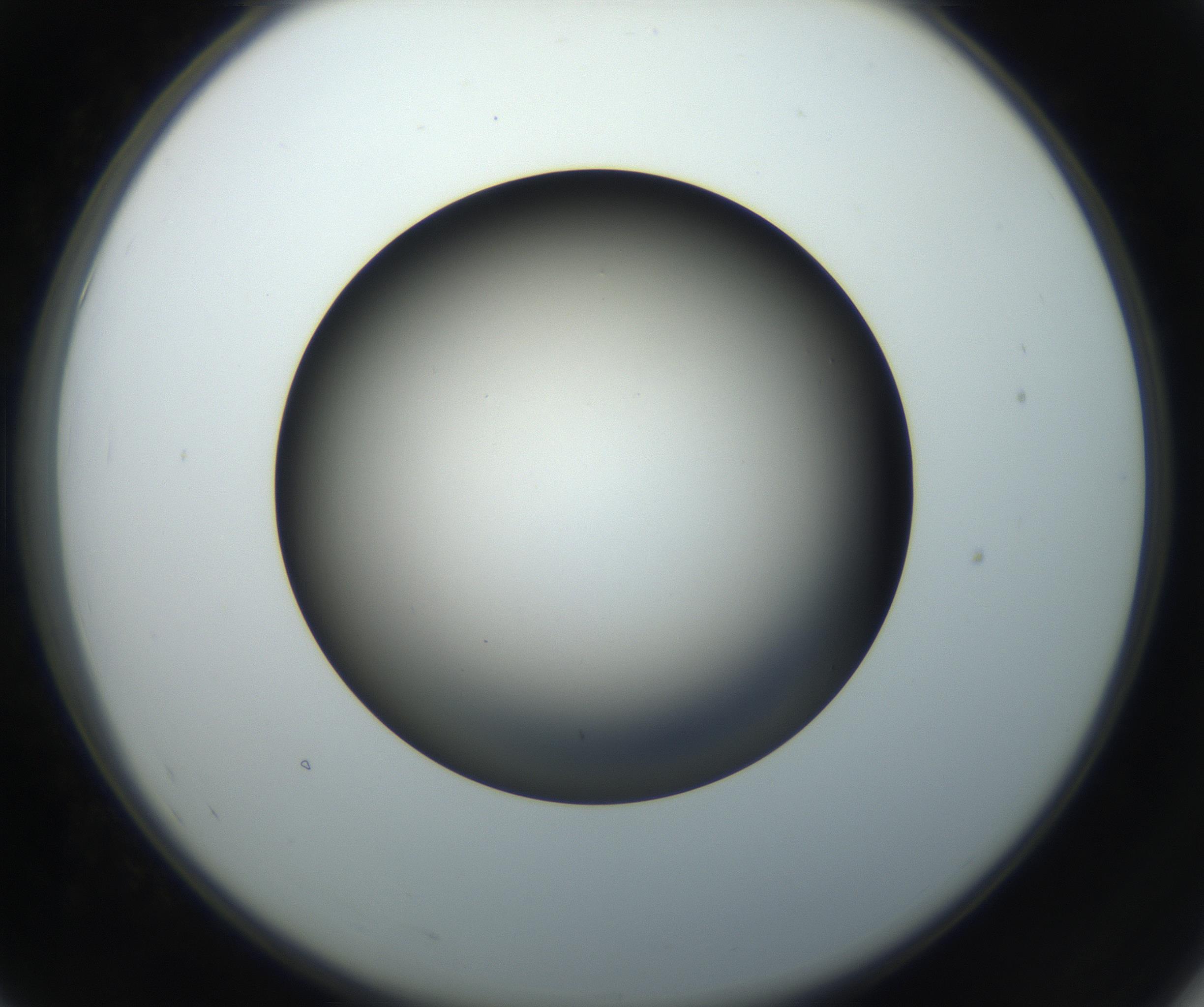 RI01_03_000_0212_Proj1_Clon1_MC_0000MC102718_004_160921_07_05_02_00_99_002_001_RAI.jpg