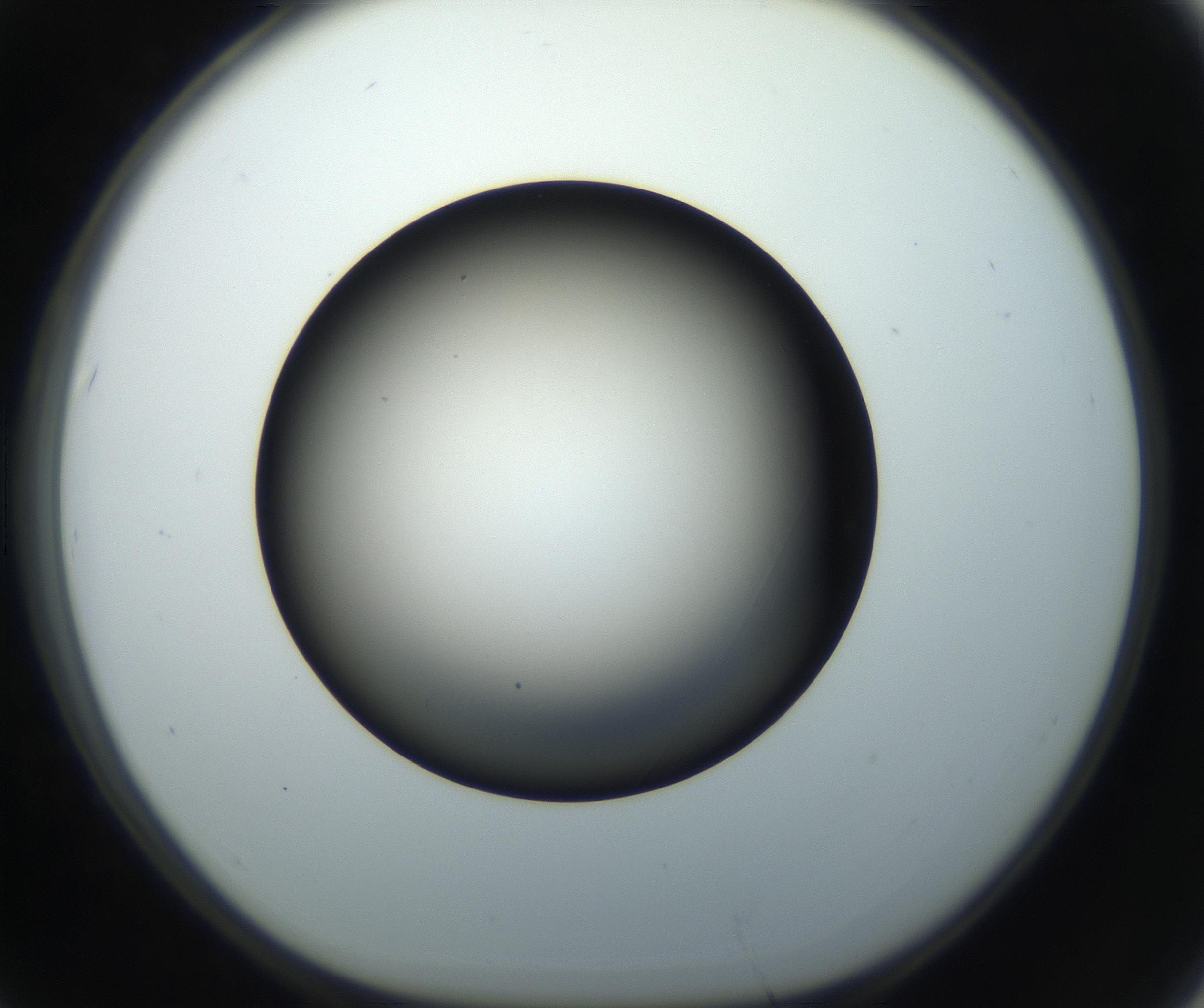 RI01_03_000_0212_Proj1_Clon1_MC_0000MC102718_004_160921_07_06_01_00_99_002_001_RAI.jpg