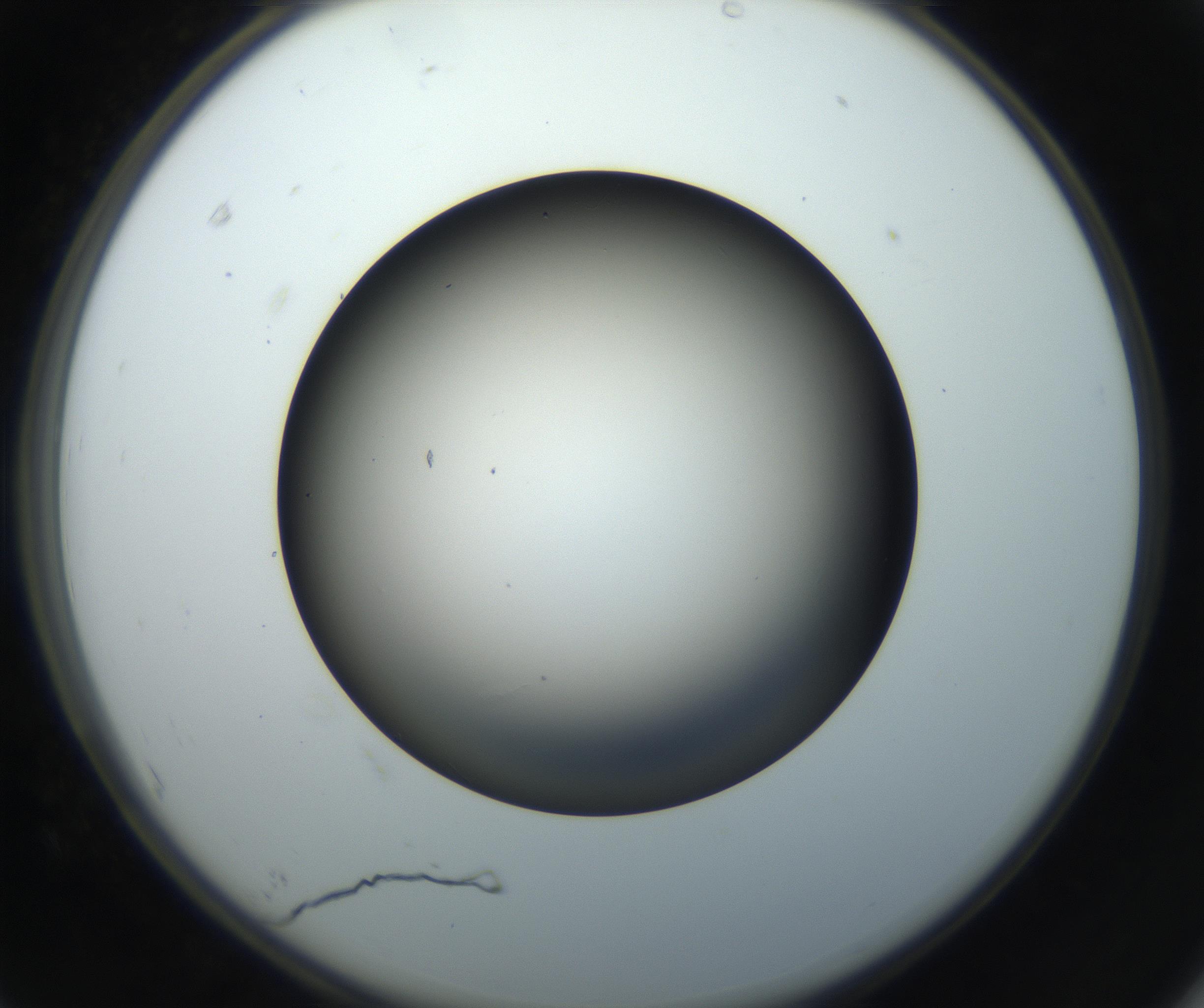 RI01_03_000_0212_Proj1_Clon1_MC_0000MC102718_004_160921_07_06_02_00_99_002_001_RAI.jpg